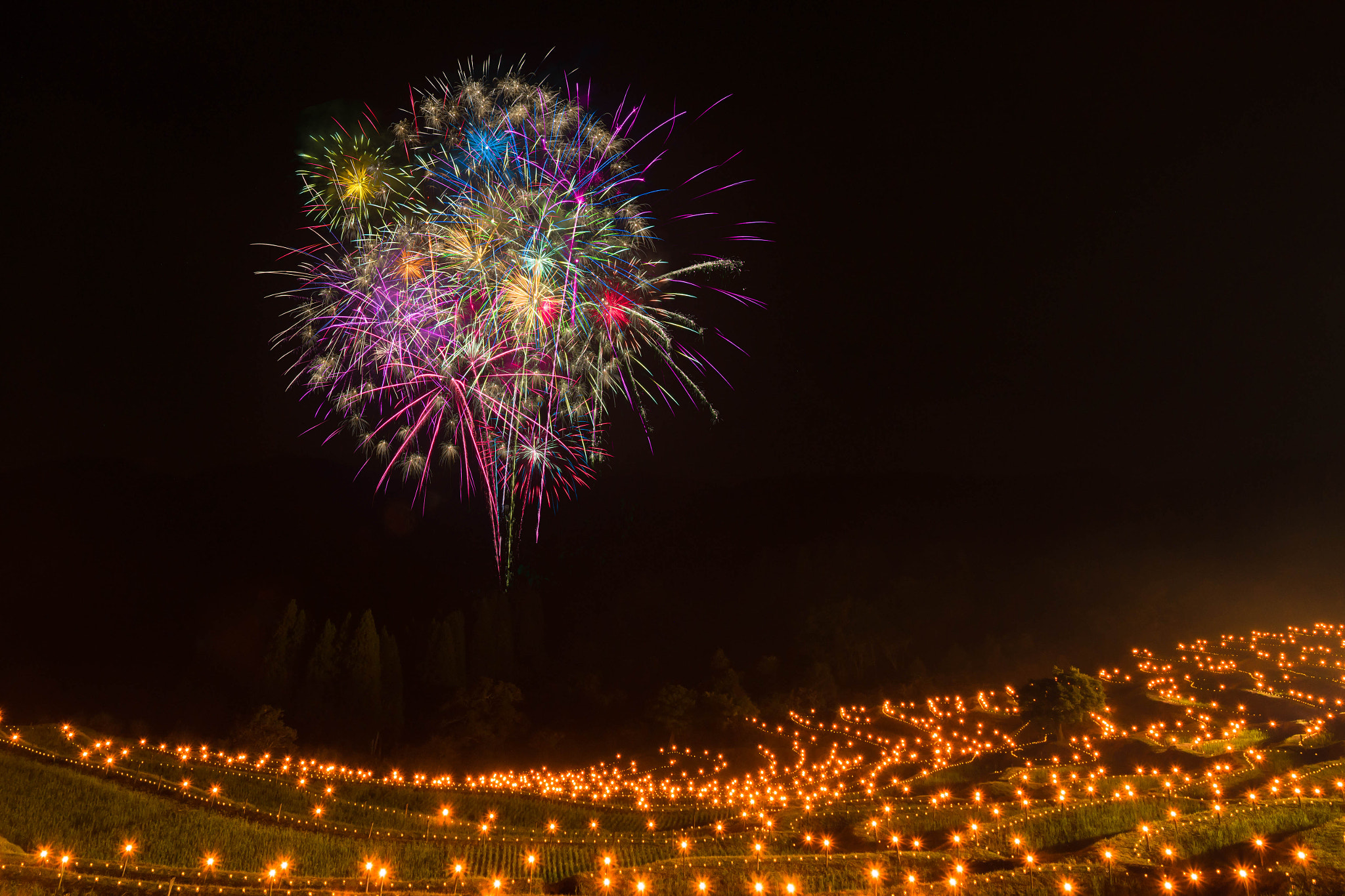 Sigma 8-16mm F4.5-5.6 DC HSM sample photo. Fireworks photography