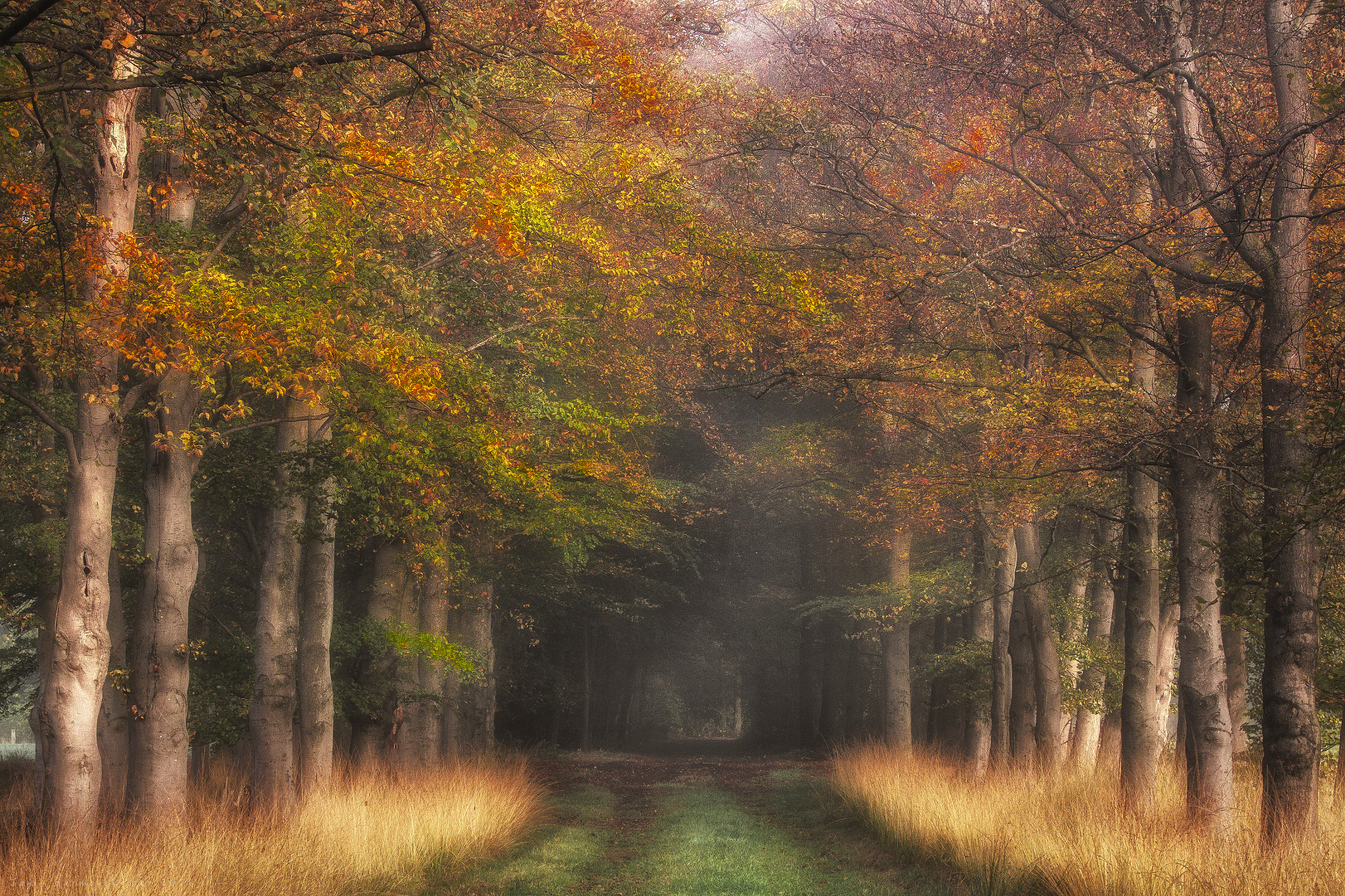 Canon EF 50-200mm f/3.5-4.5 sample photo. By nature ... photography