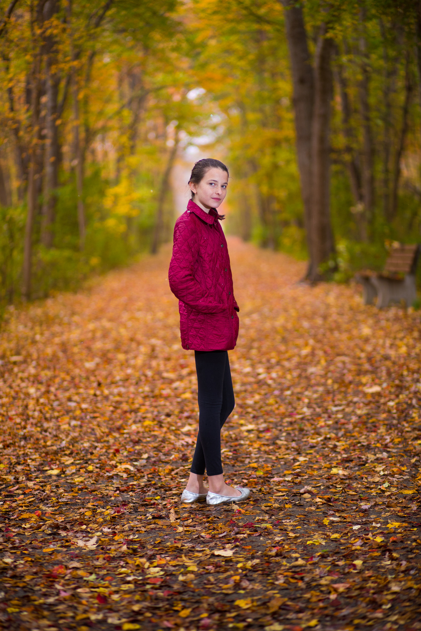 Canon EF 85mm F1.8 USM sample photo. Fall color on long island photography