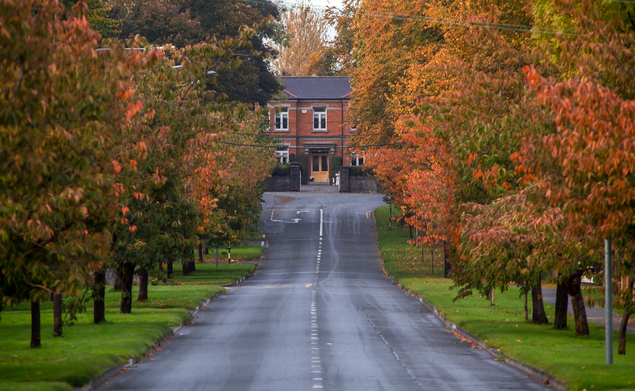 Sigma 70-200mm F2.8 EX DG OS HSM sample photo. Autumn on the new road photography