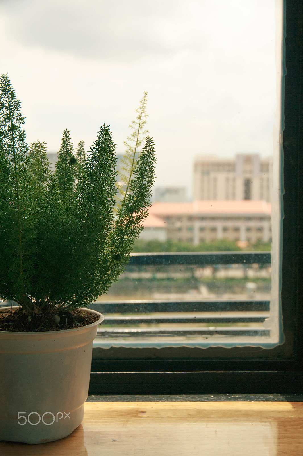 Canon EOS 550D (EOS Rebel T2i / EOS Kiss X4) sample photo. By the window photography