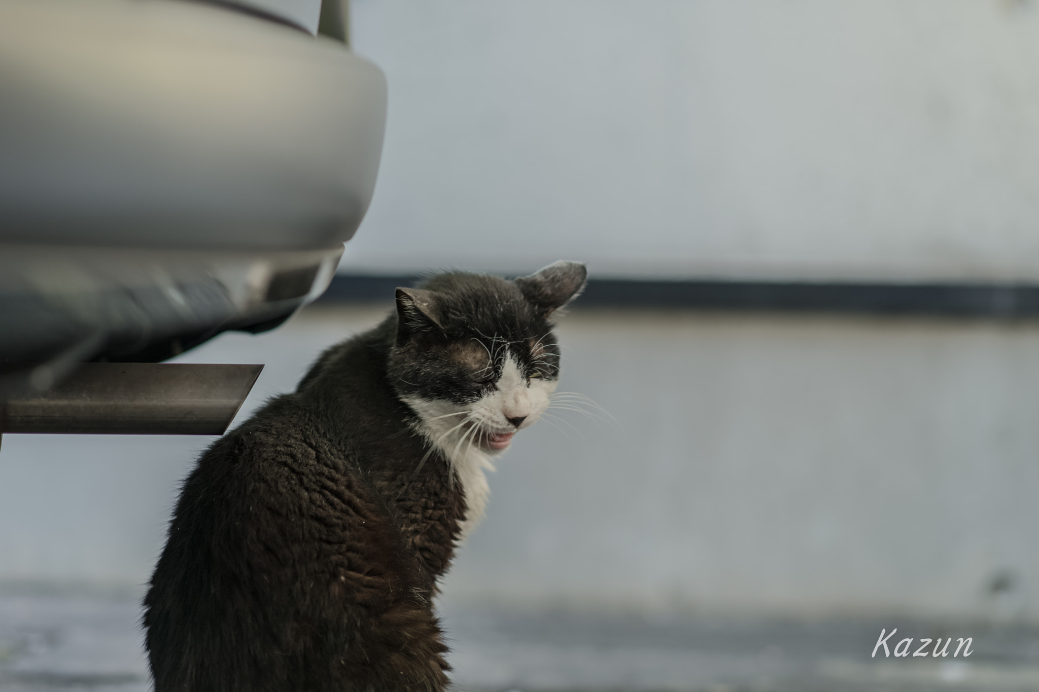 Sony Sonnar T* 135mm F1.8 ZA sample photo. What?? photography