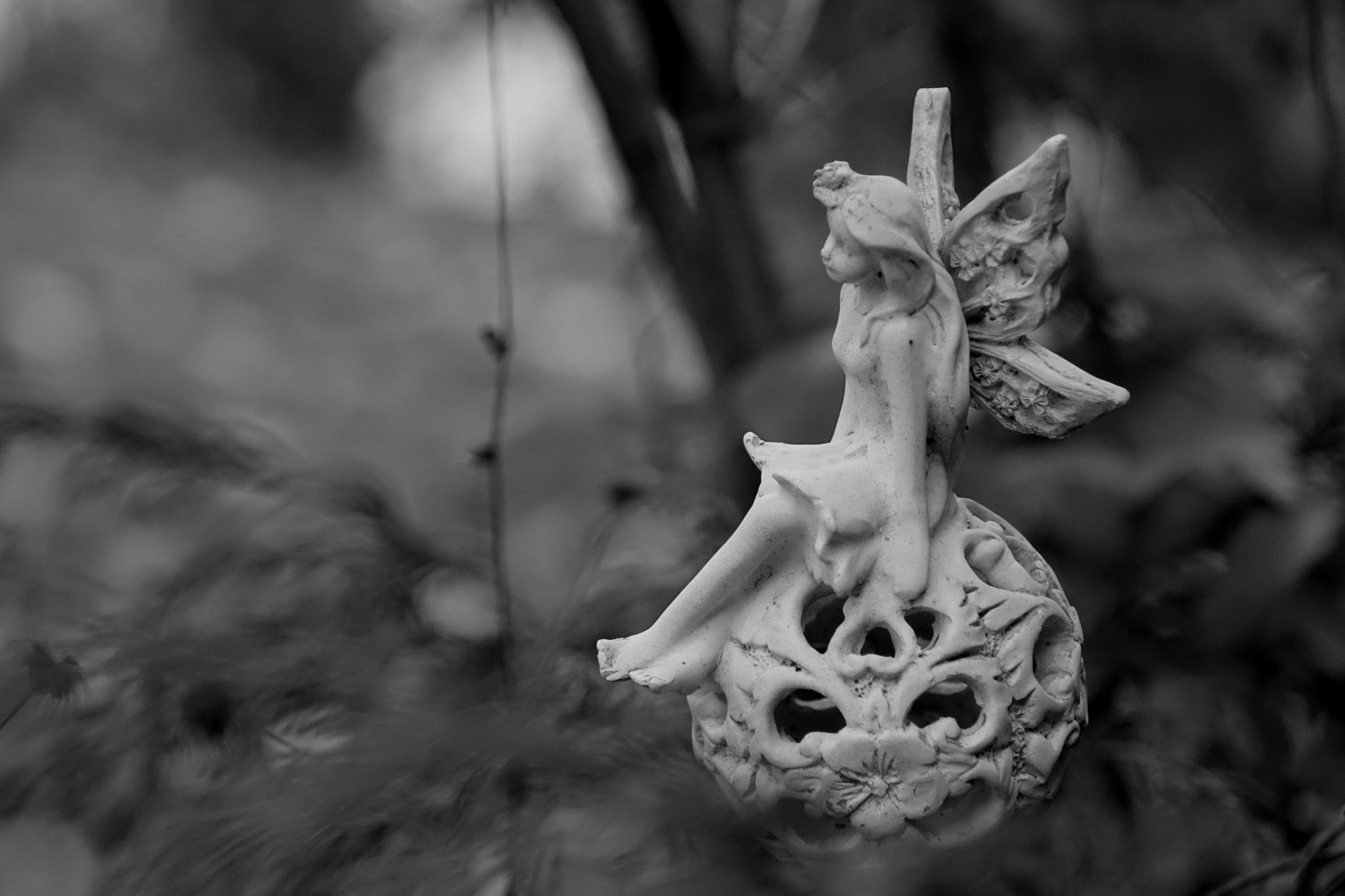Sony Cyber-shot DSC-RX10 + Sony 24-200mm F2.8 sample photo. Dreaming fairy photography