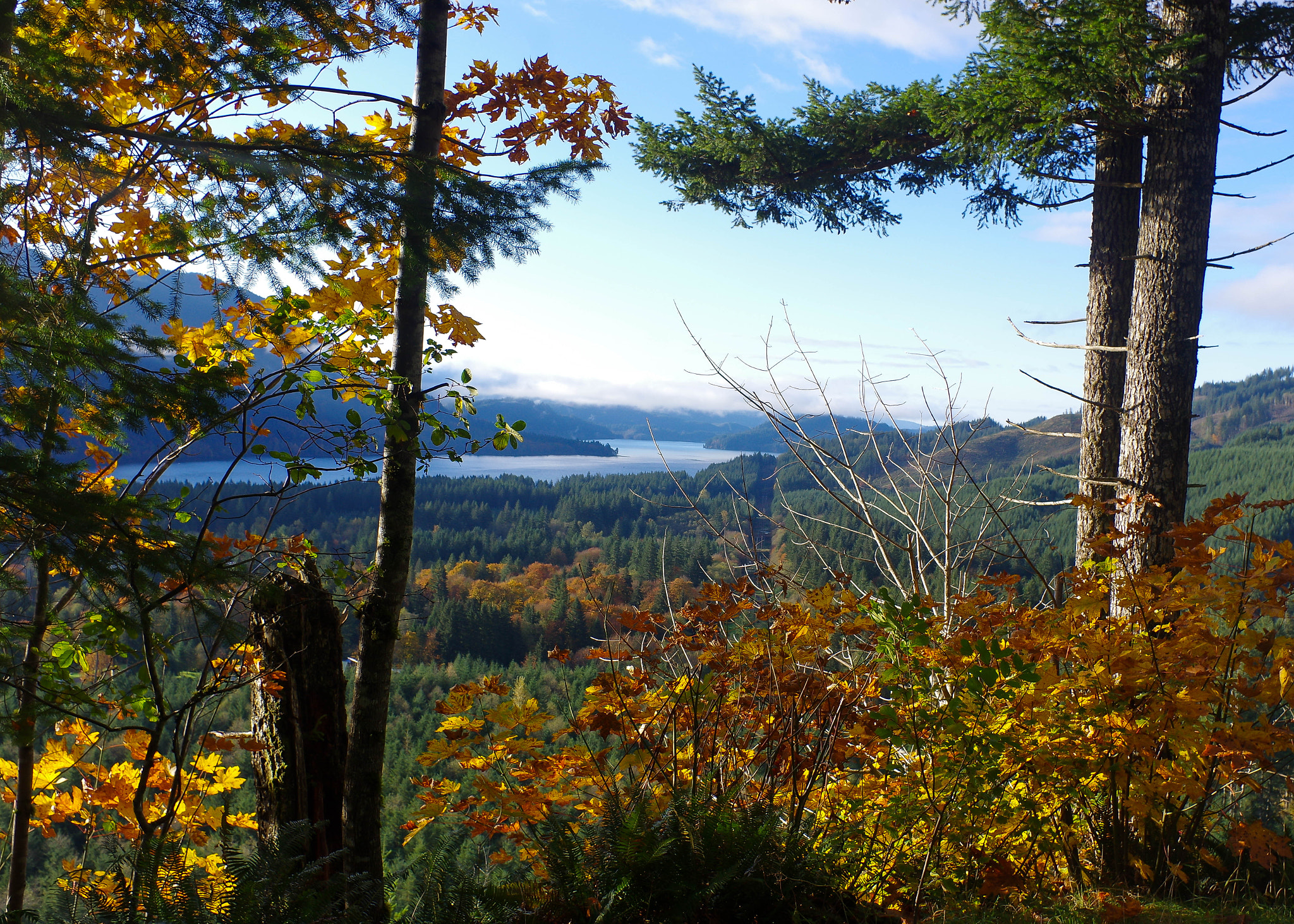 Pentax K-3 sample photo. Autumn photography