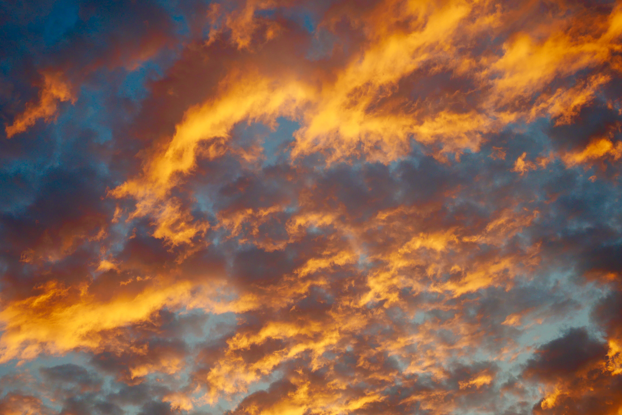 Panasonic Lumix DMC-GX85 (Lumix DMC-GX80 / Lumix DMC-GX7 Mark II) + Panasonic Lumix G Vario HD 12-32mm F3.5-5.6 Mega OIS sample photo. 燃える空 burnished sky photography