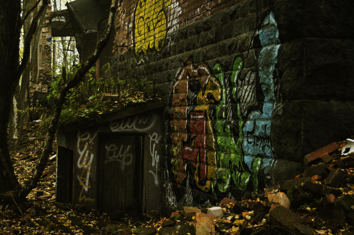 Sony SLT-A57 sample photo. Lost and overgrown photography