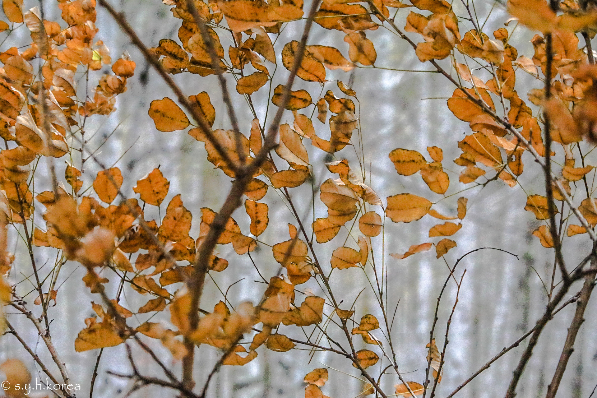 Canon EF 70-200mm F4L IS USM sample photo. Ta photography