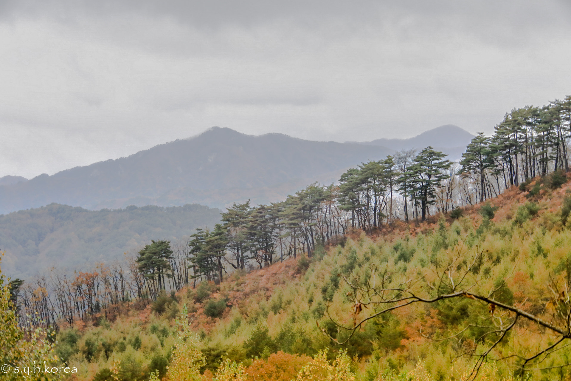 Canon EF 70-200mm F4L IS USM sample photo. Hdr photography