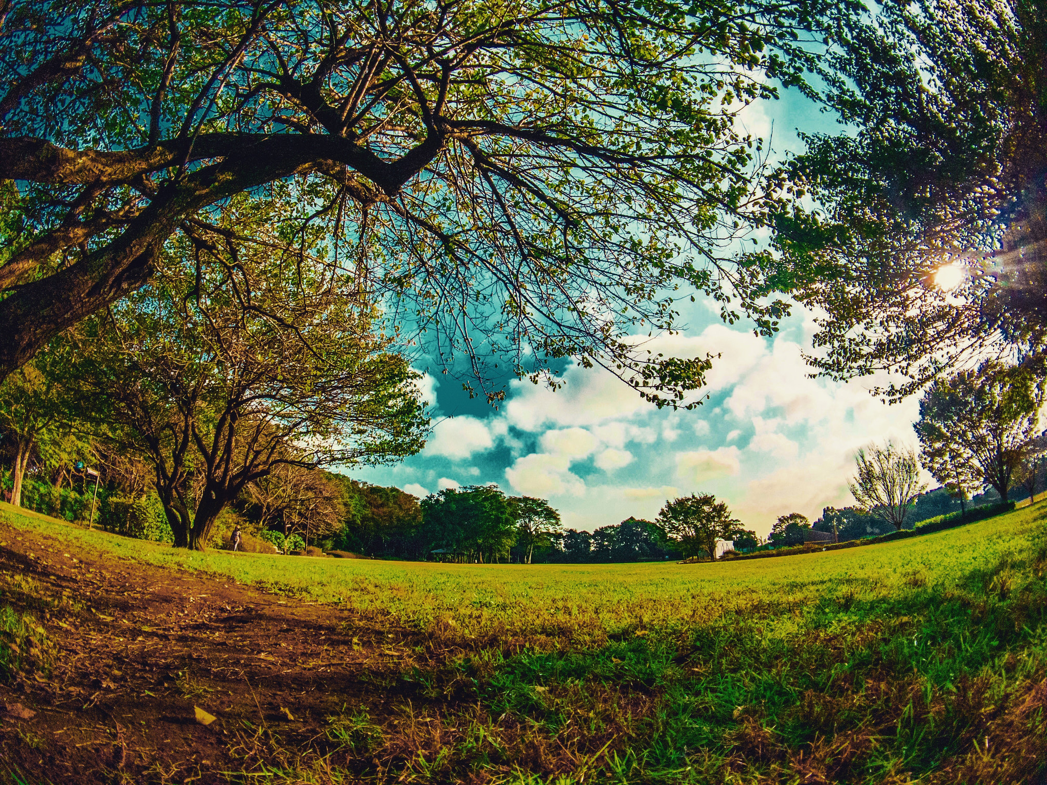 Moment SuperFish 15mm sample photo. The green says goodbye. photography