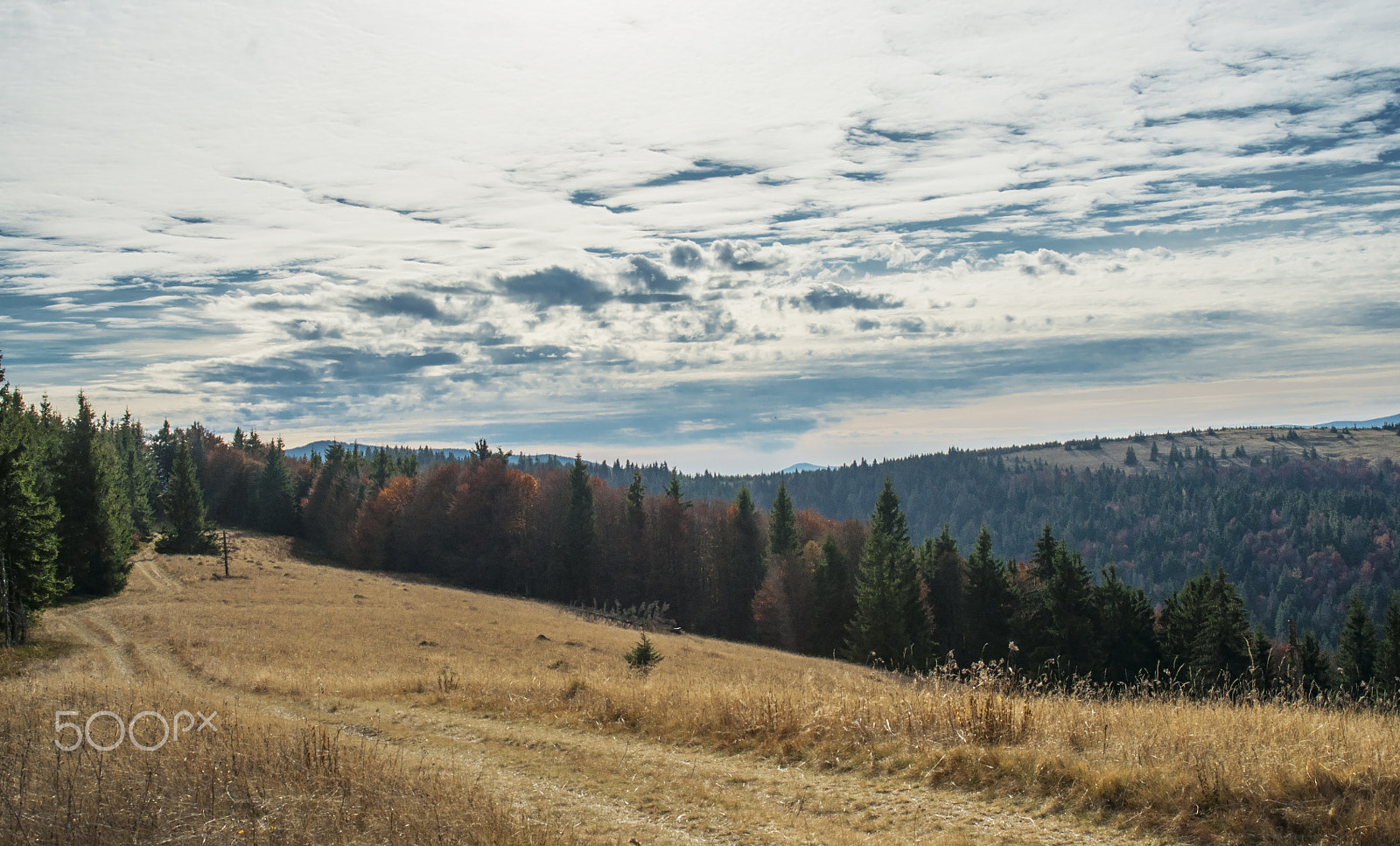 AF Zoom-Nikkor 28-80mm f/3.3-5.6G sample photo. Karpaty photography