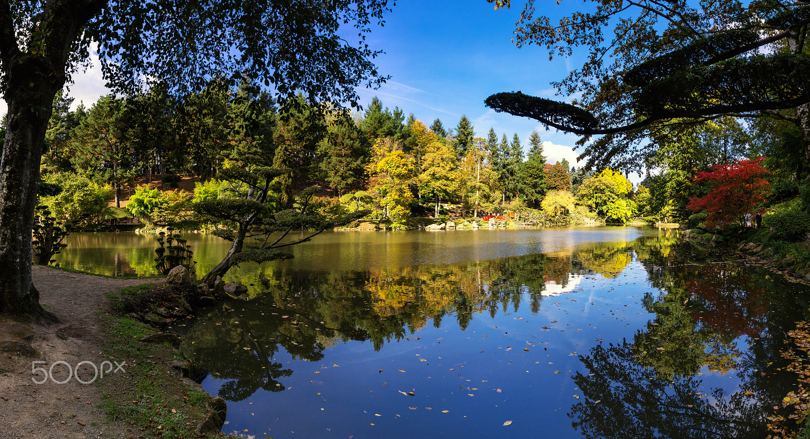 Pentax K-5 + Pentax smc DA 15mm F4 ED AL Limited sample photo. Maulévrier park photography