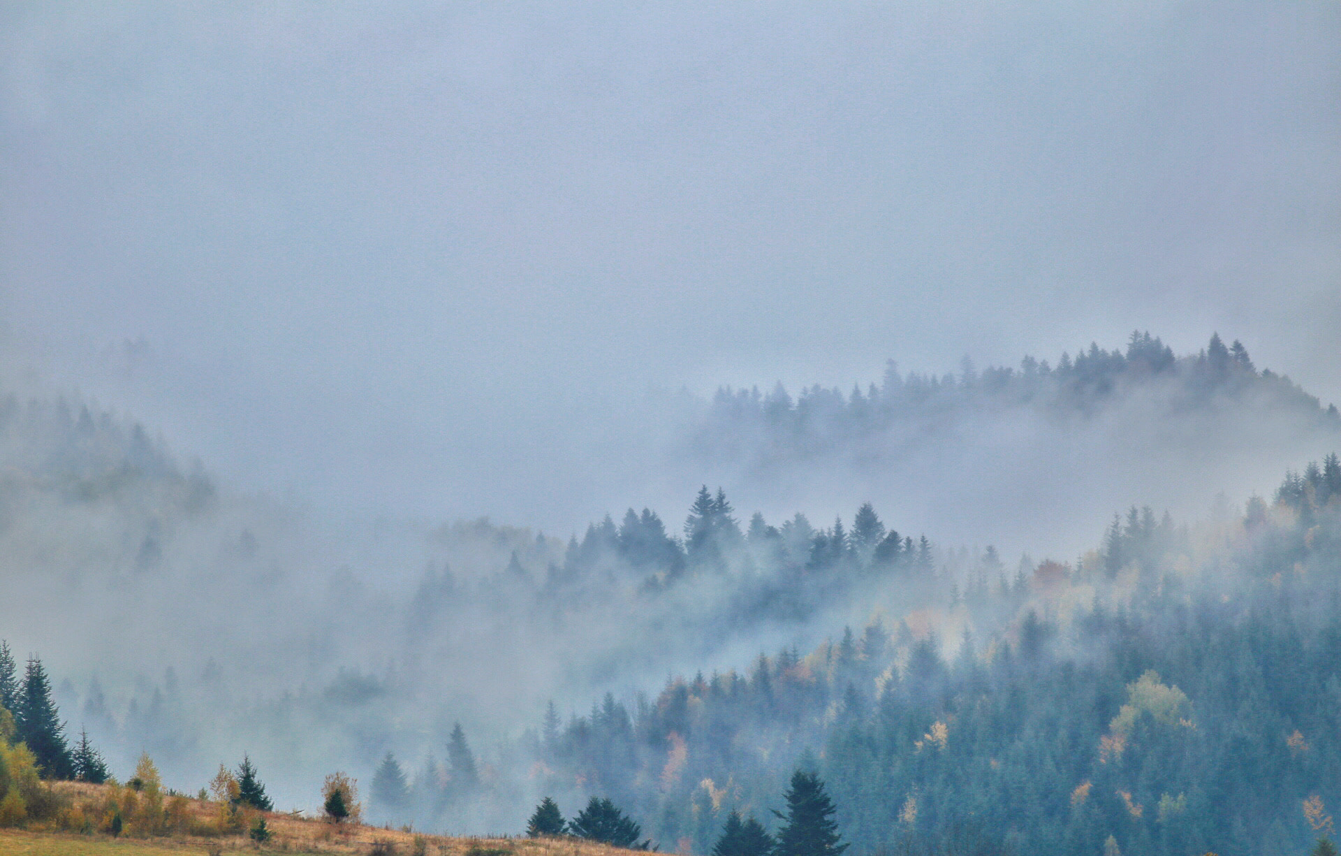 Canon EOS 6D + Canon EF 400mm F5.6L USM sample photo. After the rain... photography