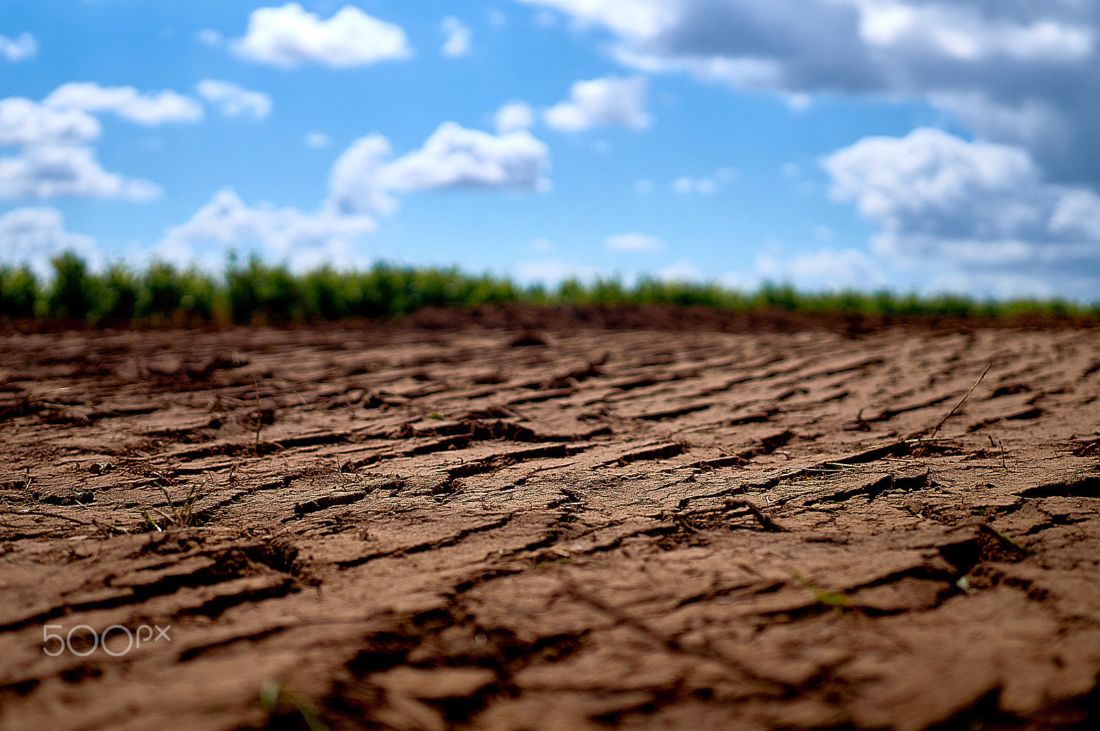 Sony Alpha NEX-3N + Sigma 30mm F2.8 EX DN sample photo. Scorched earth photography