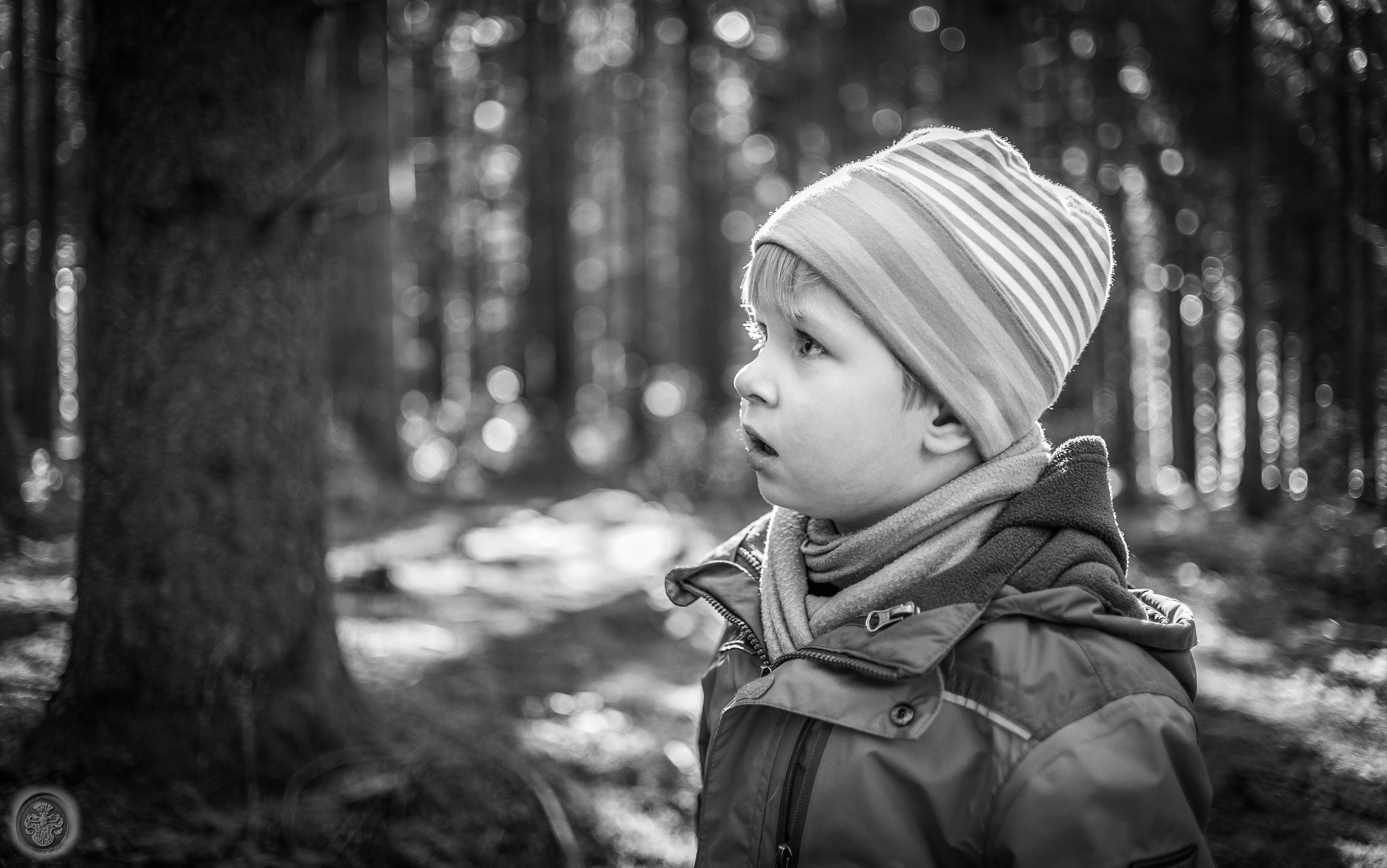 Nikon Df sample photo. ...the fearless mushroom collector... photography