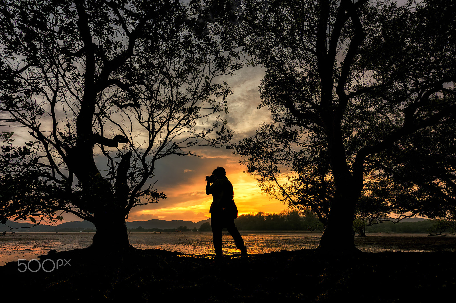 Nikon D5200 + Tokina AT-X 11-20 F2.8 PRO DX (AF 11-20mm f/2.8) sample photo. Silhouette people and treeframe with sunlight photography