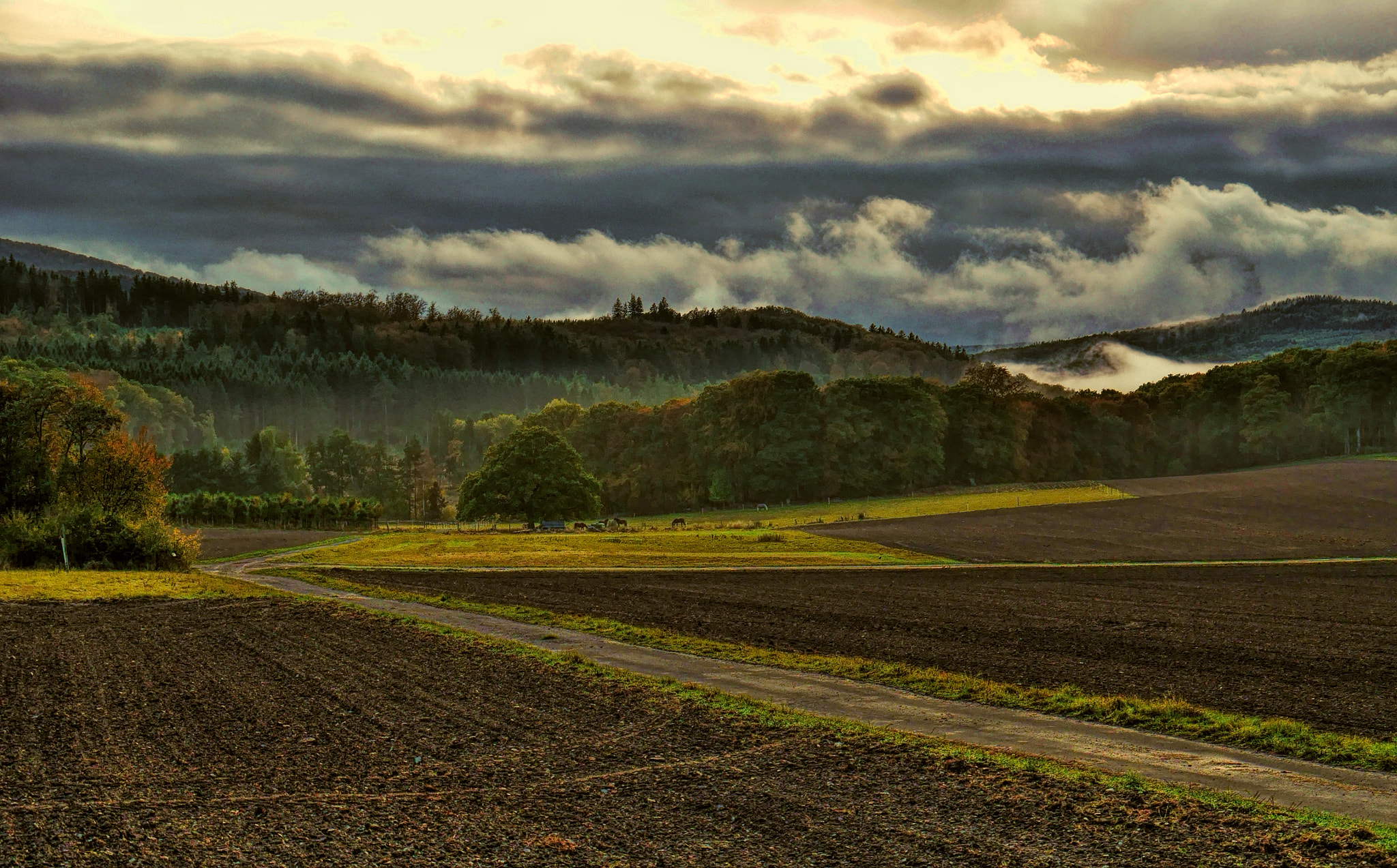 Panasonic Lumix DMC-GX7 sample photo. Autumnal atmosphere photography