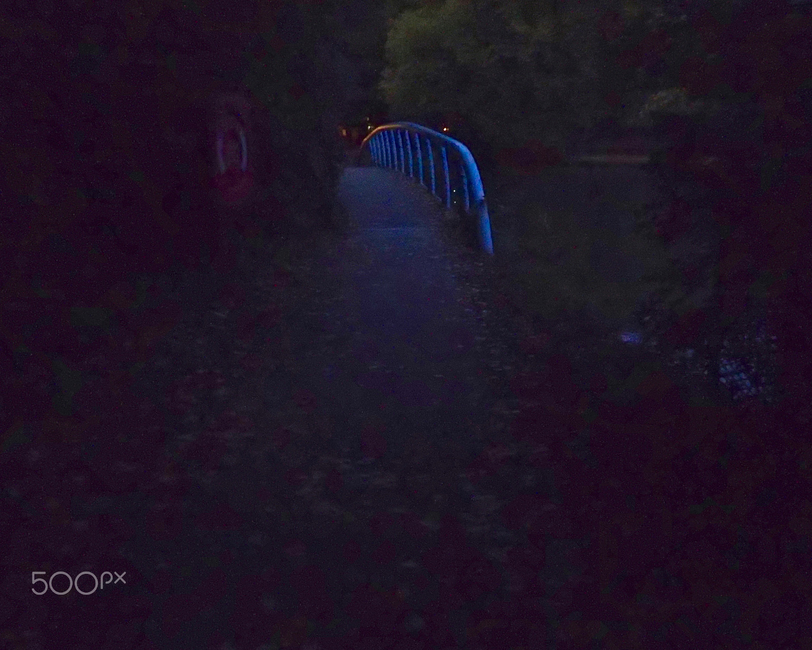 Olympus TG-2 sample photo. Bridge photography