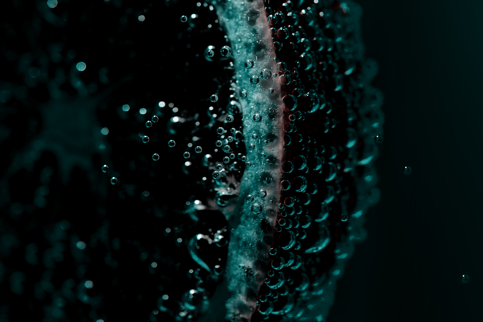 Canon EOS 6D + Tamron SP AF 90mm F2.8 Di Macro sample photo. The dark side of an orange photography