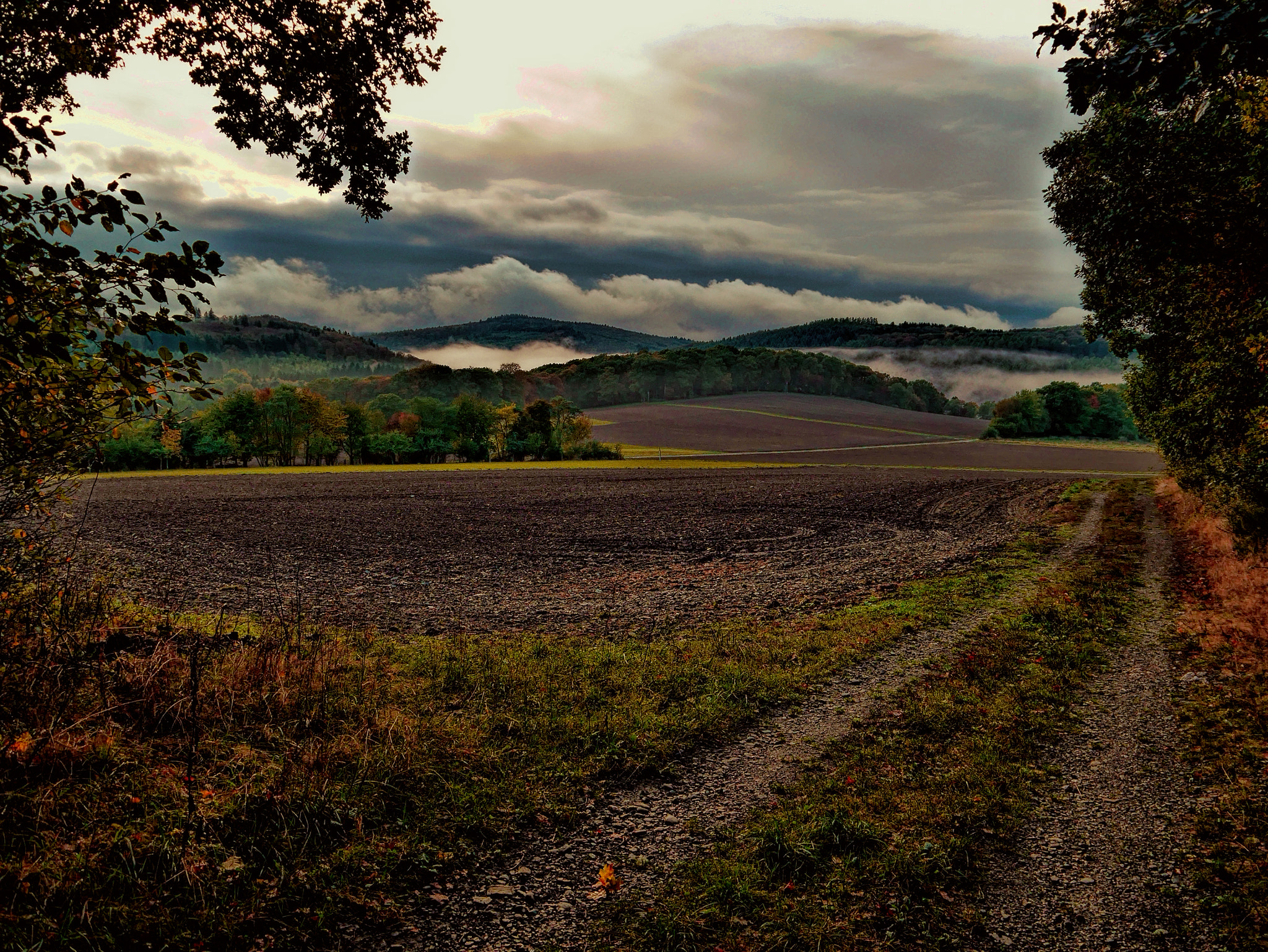 Panasonic Lumix DMC-GX7 sample photo. Leaving the forest photography