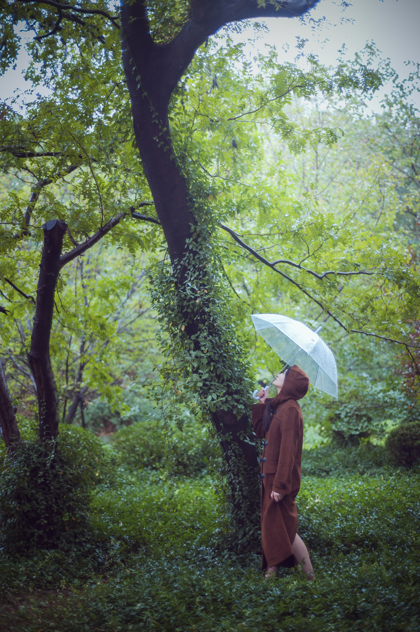 ZEISS Planar T* 50mm F1.4 sample photo. 霜降 photography