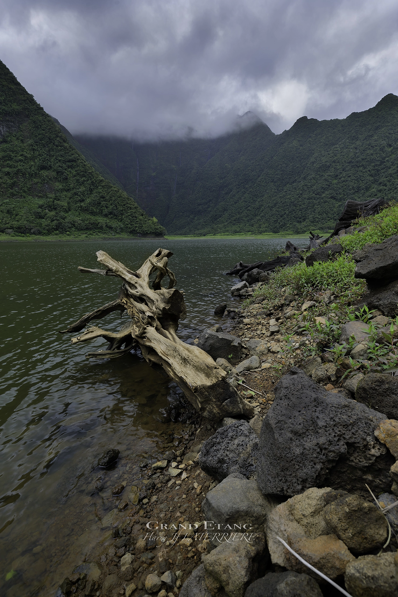 Canon EF 16-35mm F4L IS USM sample photo. Grand etang photography