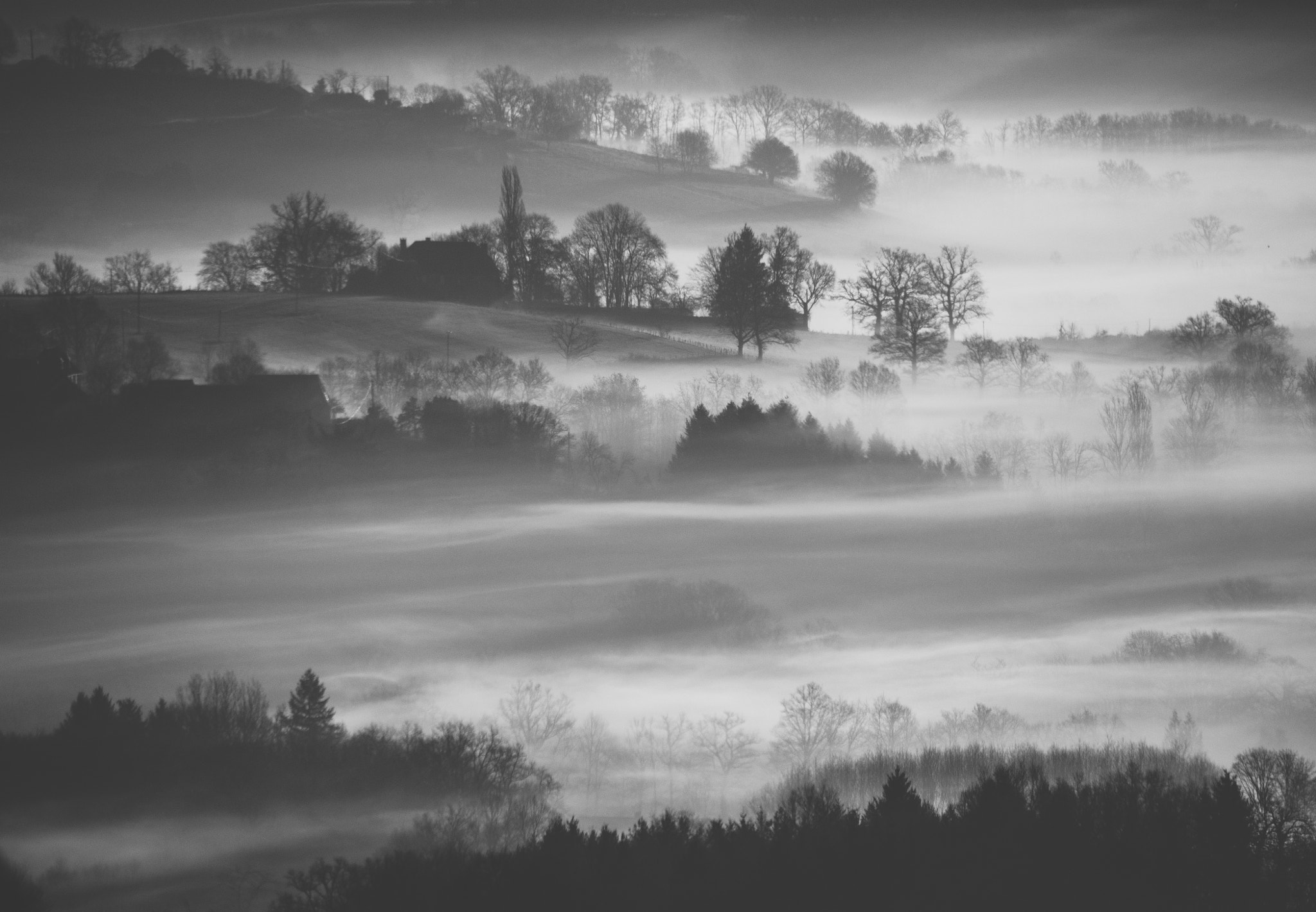 Olympus OM-D E-M5 sample photo. Rural landscape in france in a foggy morning photography