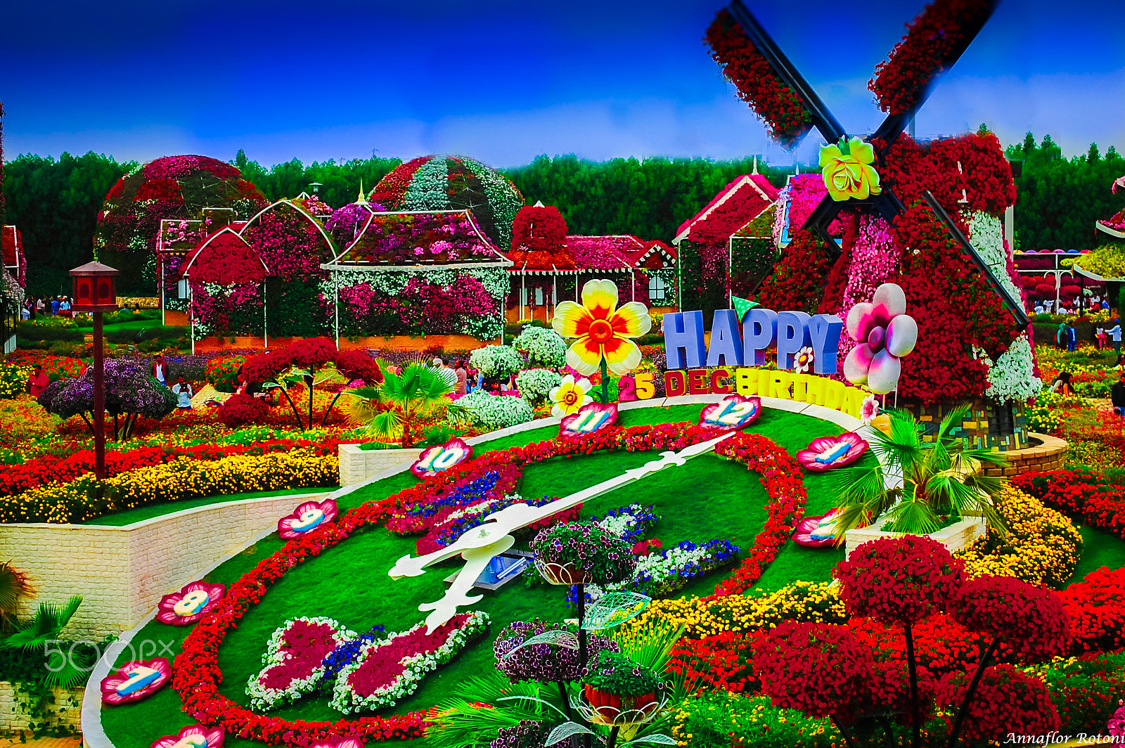 Nikon D40 sample photo. Dubai miracle garden 2015 photography