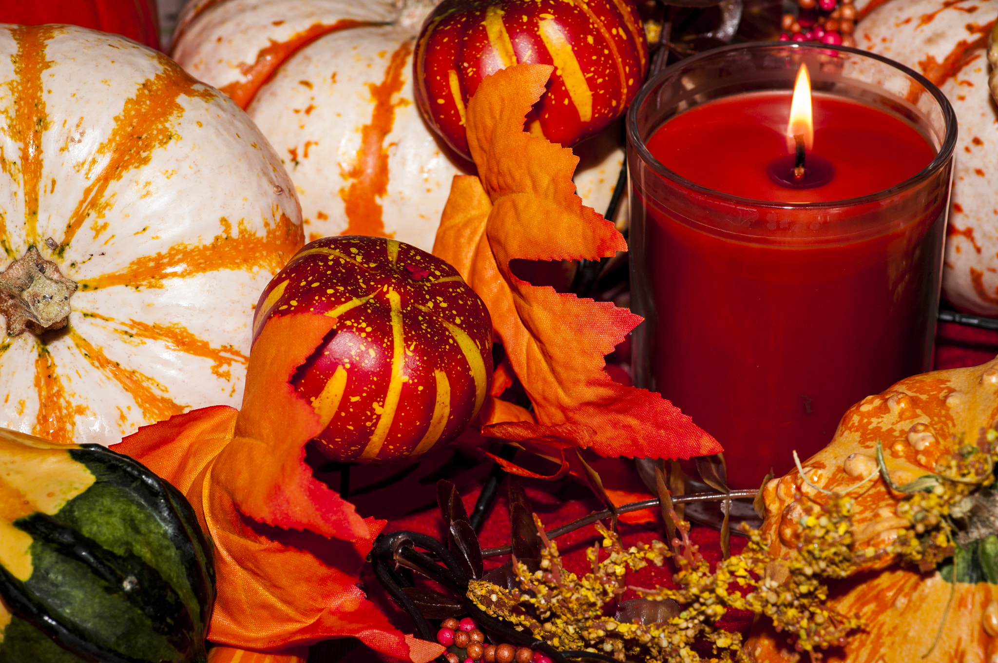 Nikon D90 + Tokina AT-X Pro 100mm F2.8 Macro sample photo. Harvest time centerpiece photography