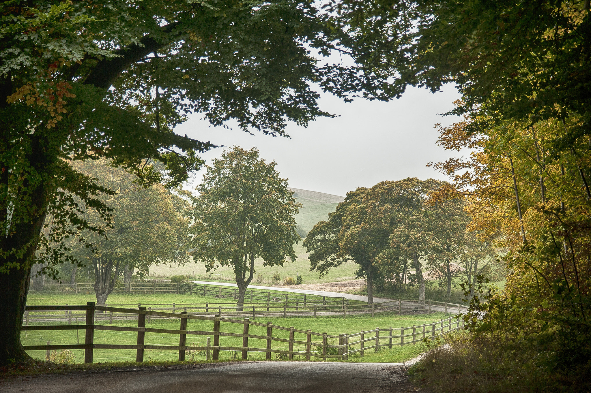 Nikon D3 sample photo. Landscape. photography