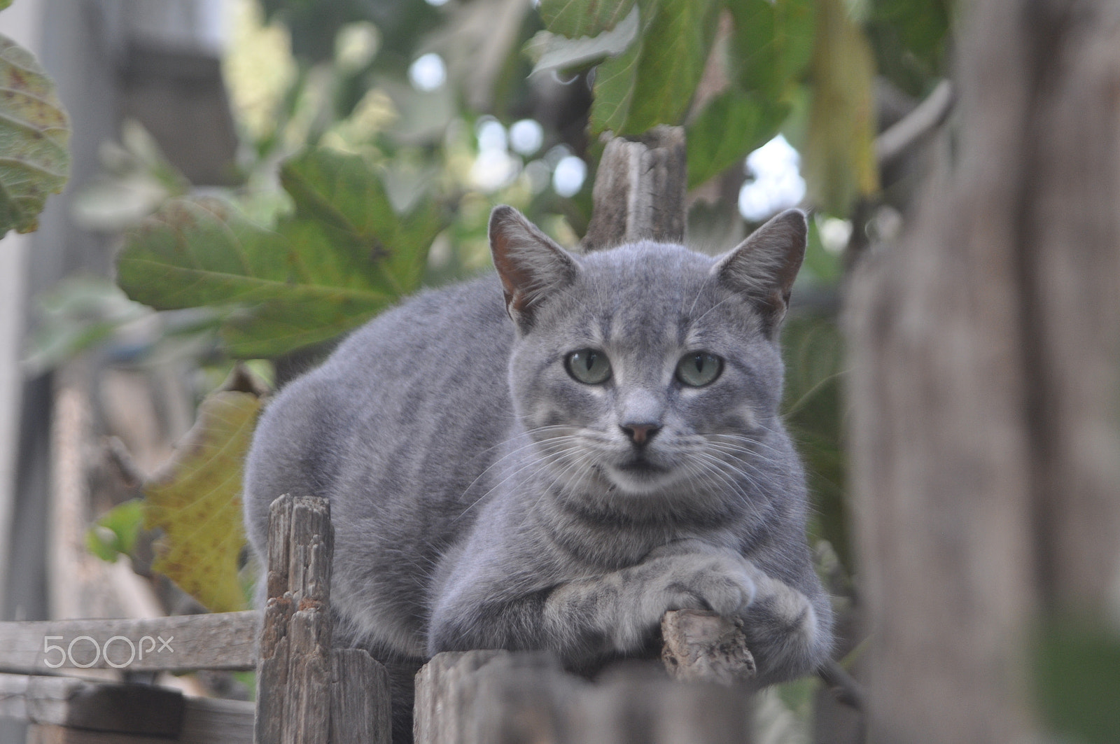 AF Zoom-Nikkor 24-120mm f/3.5-5.6D IF sample photo. For no thing ^^ photography