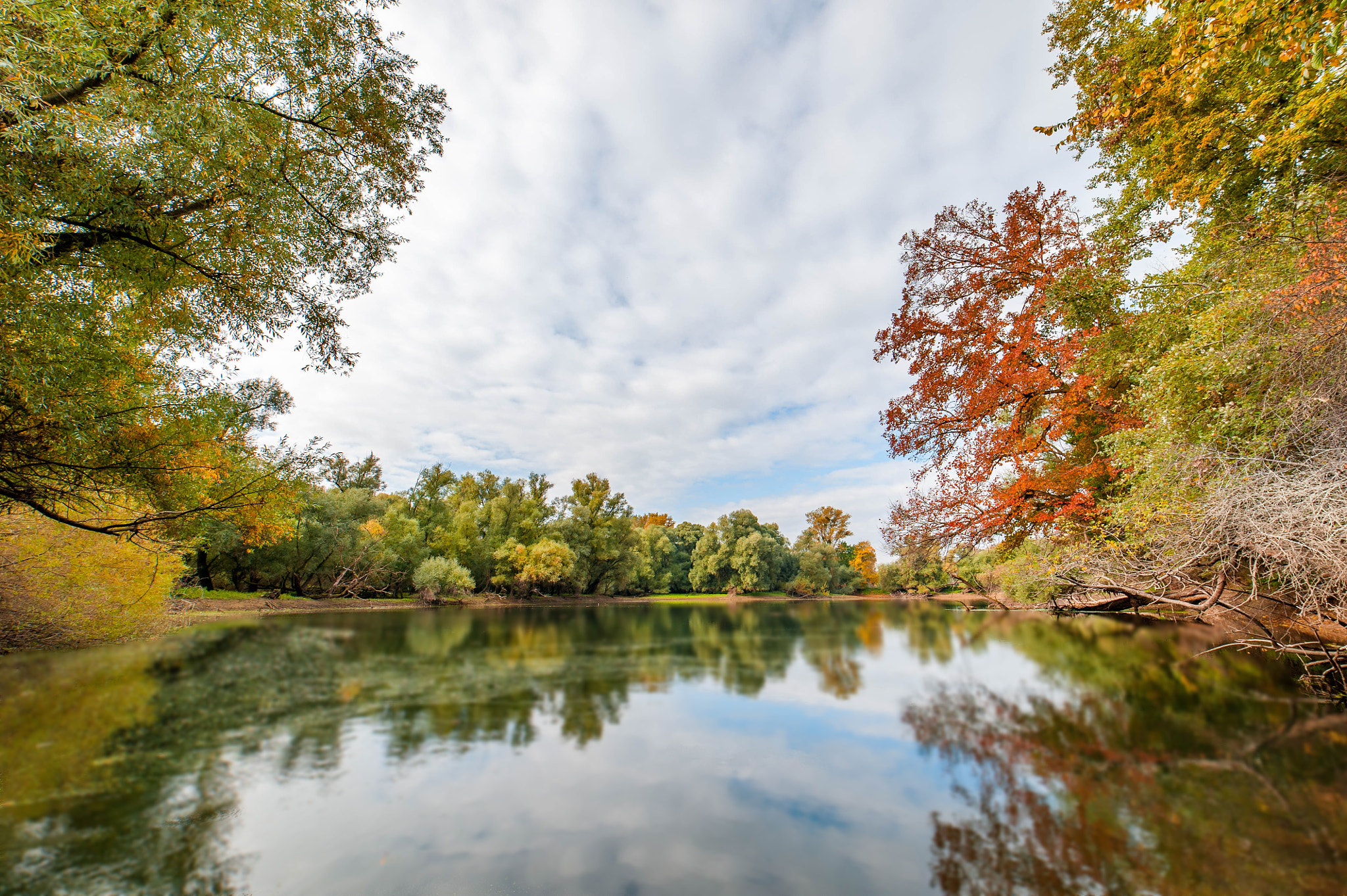 Samyang 14mm F2.8 ED AS IF UMC sample photo. Altrhein im herbst photography