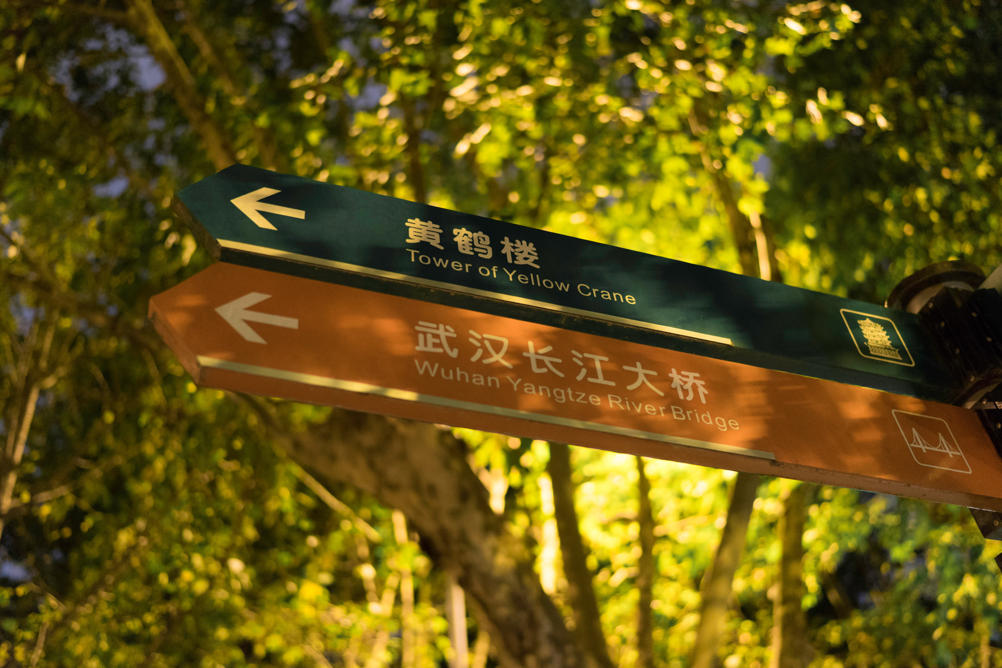 Sony a7 + Sony Distagon T* FE 35mm F1.4 ZA sample photo