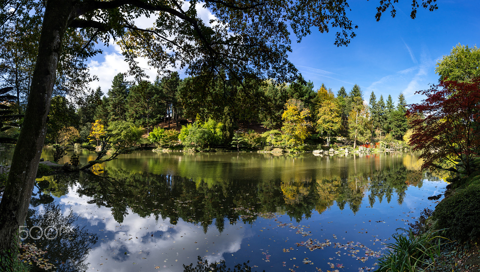 Pentax K-5 + Pentax smc DA 15mm F4 ED AL Limited sample photo. Oriental park photography