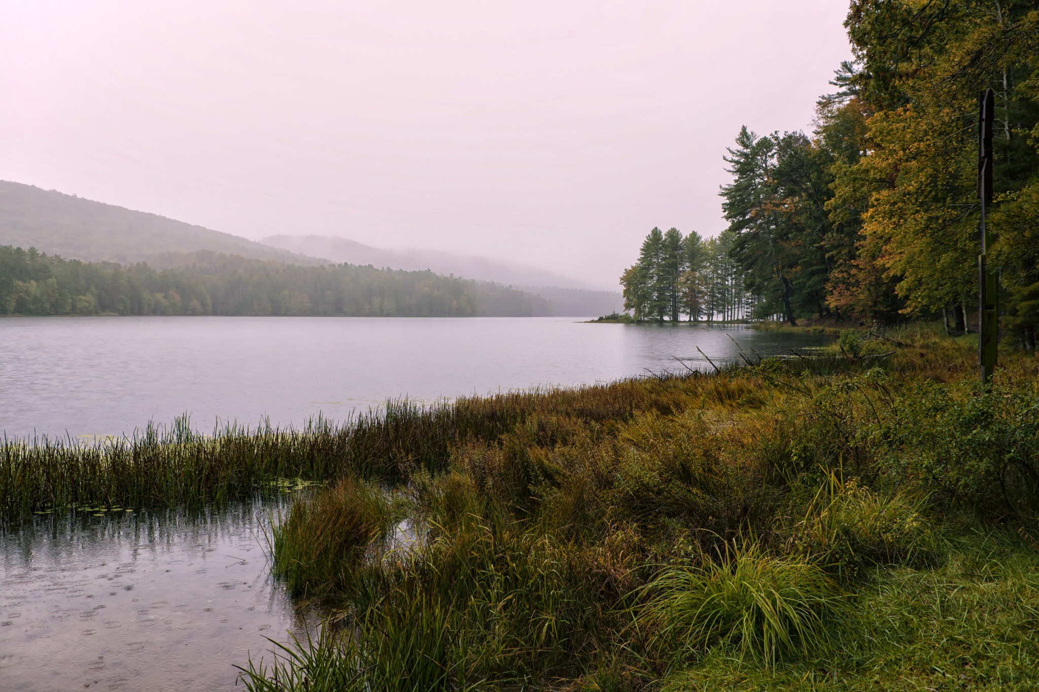 Sigma 18-50mm F2.8-4.5 DC OS HSM sample photo. Rainy fall day photography