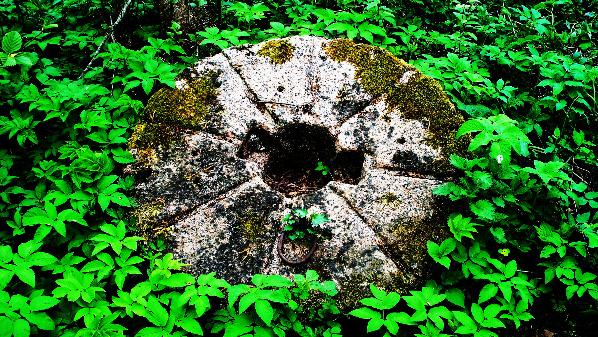 Kodak V1253 ZOOM DIGITAL CAMERA sample photo. Old millstone photography