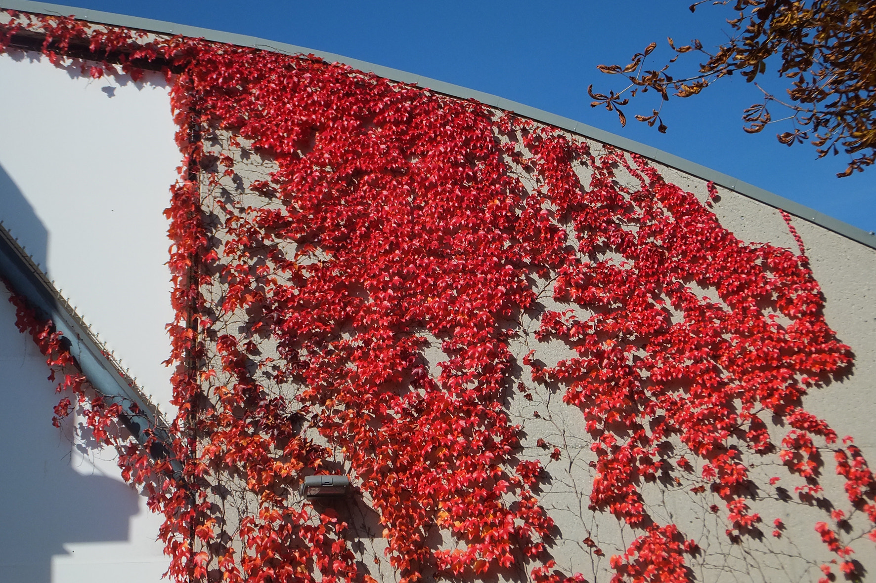 Fujifilm FinePix F660EXR sample photo. Autumn mood in graz photography