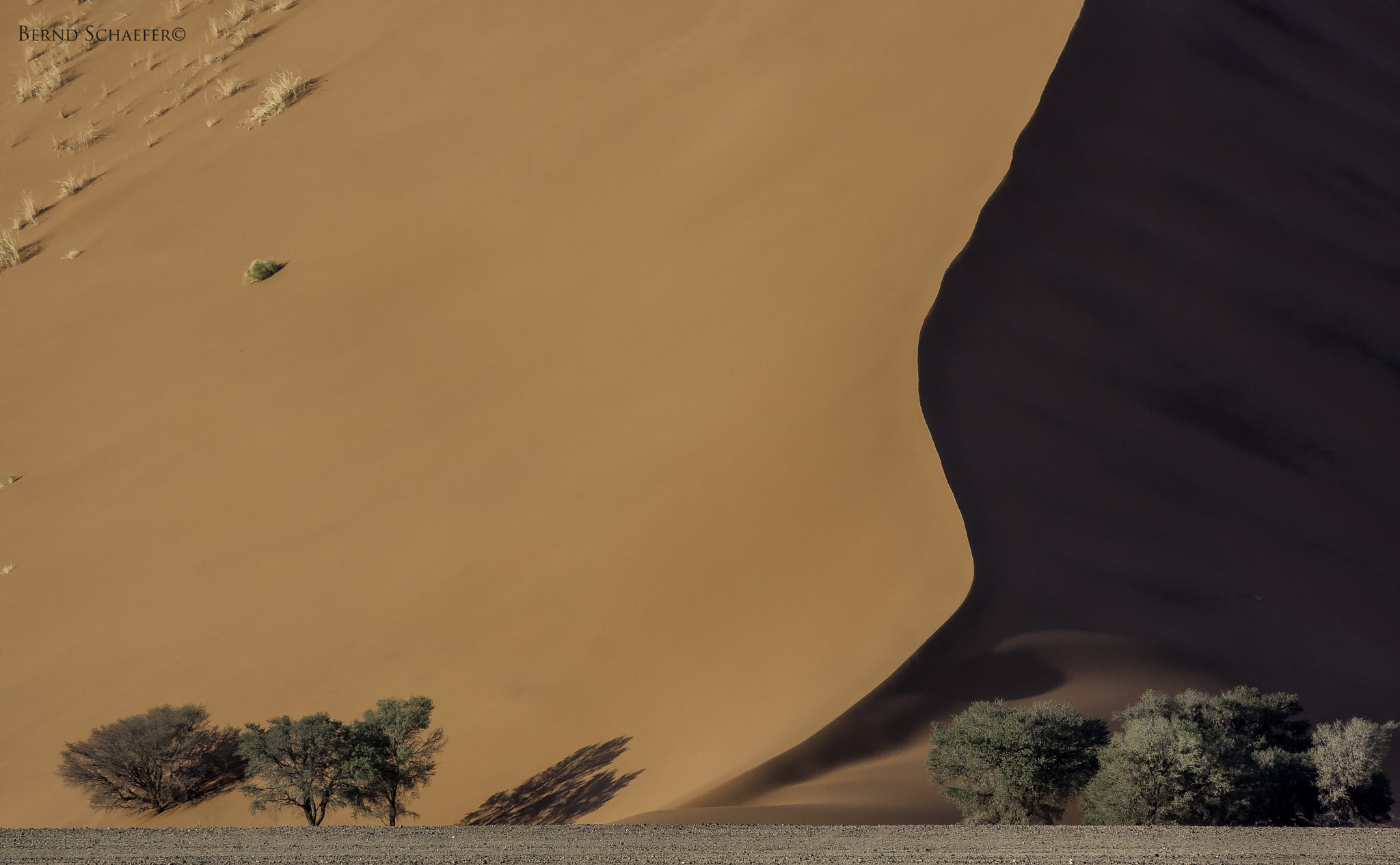 Canon EF 100-400mm F4.5-5.6L IS USM sample photo. Namib dune photography