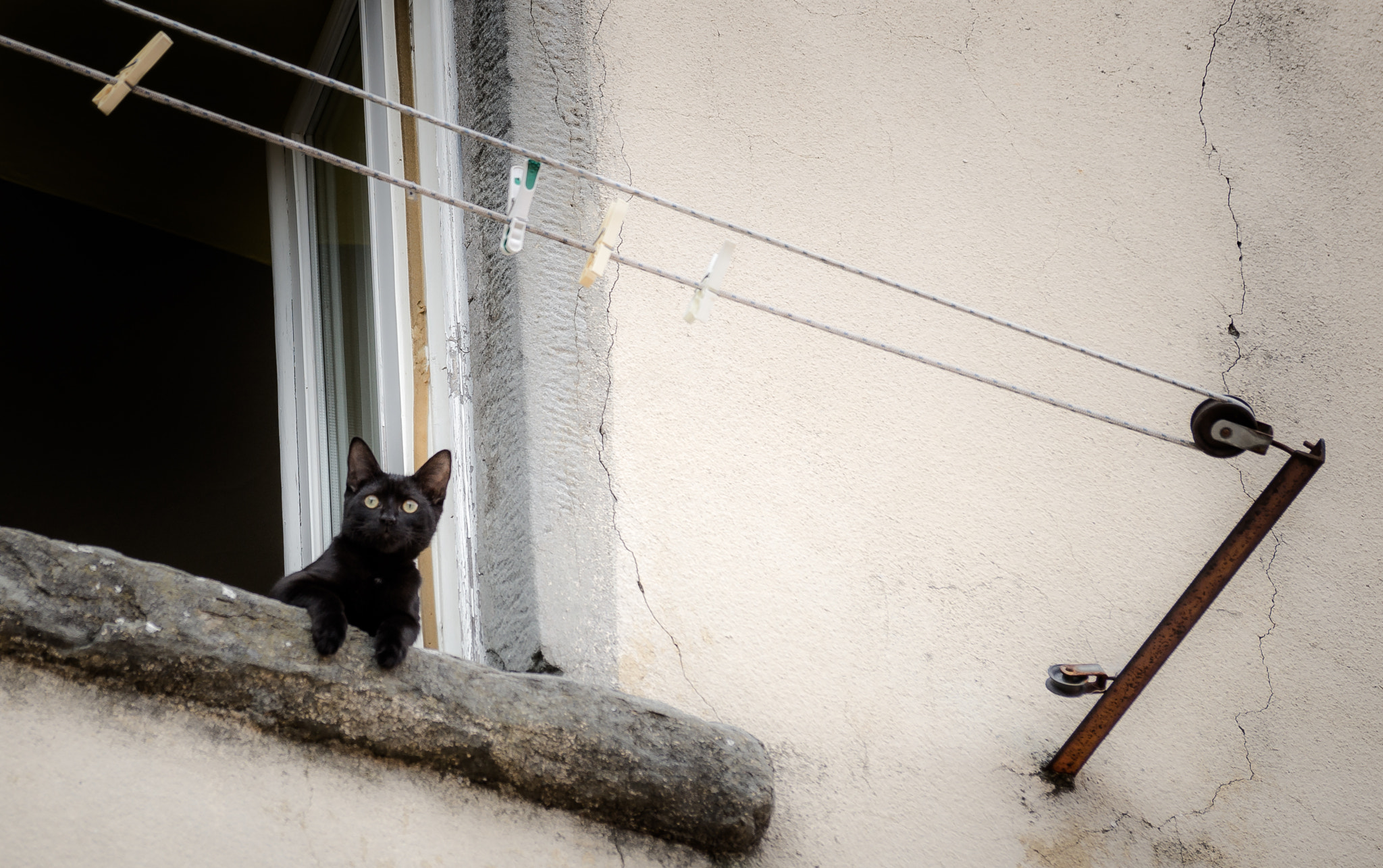 Sony SLT-A57 sample photo. Castiglione di garfagnana - city of cats photography