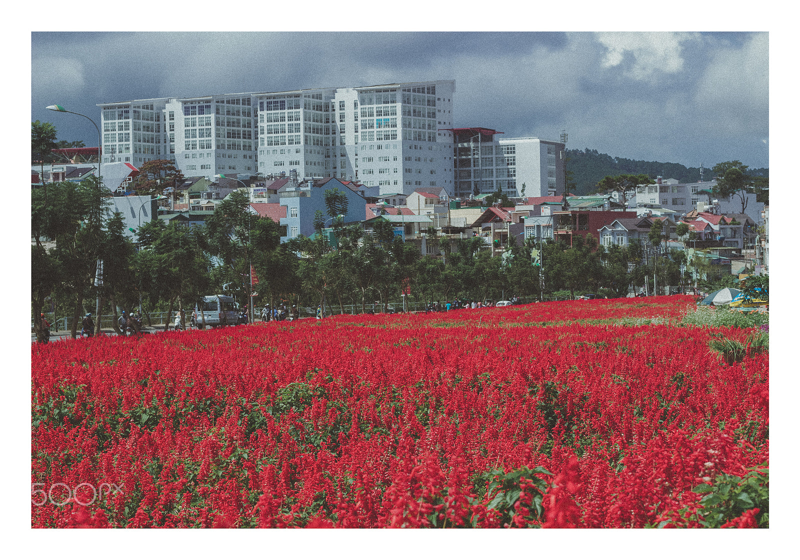 Canon EOS 600D (Rebel EOS T3i / EOS Kiss X5) sample photo. Đà lạt city photography