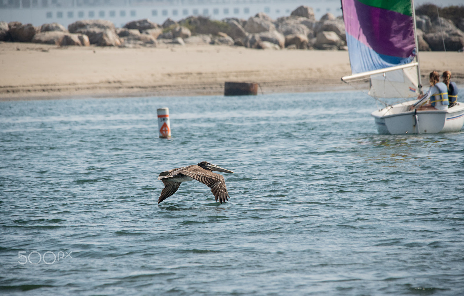 Sigma 150-500mm F5-6.3 DG OS HSM sample photo. Low flying object photography