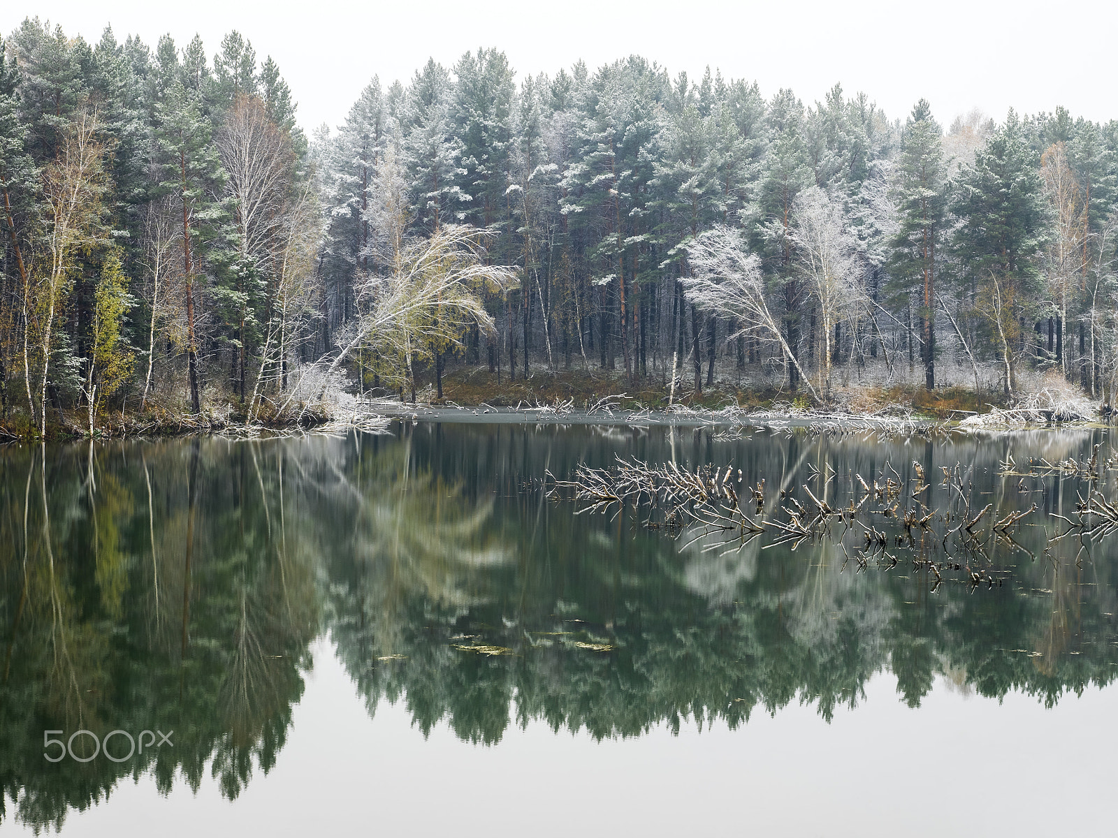 Olympus OM-D E-M1 + OLYMPUS 14-54mm Lens sample photo. Trees and their reflections in the water of the lake photography