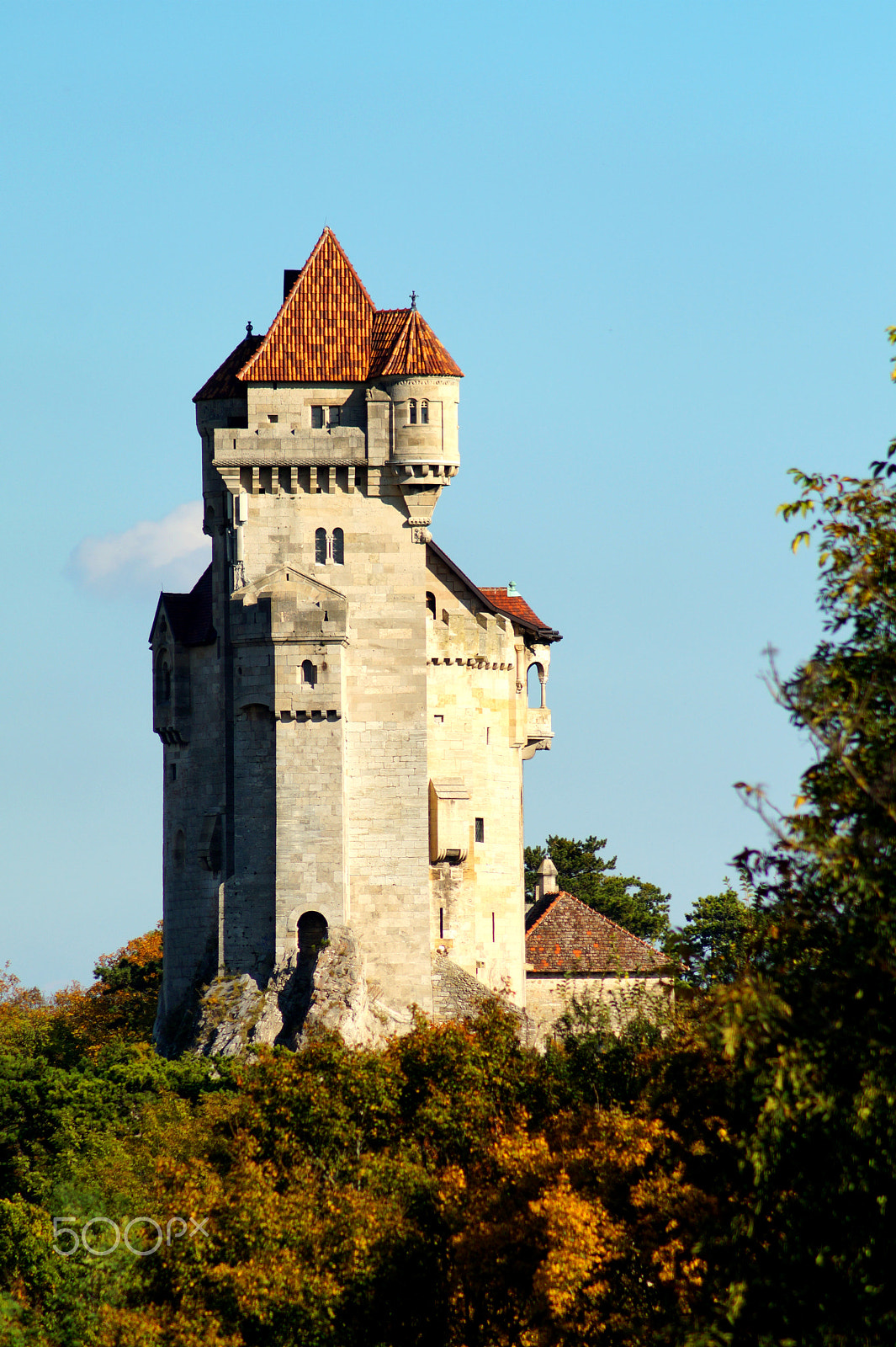 Sony SLT-A58 + Tamron Lens (255) sample photo. Burg liechtenstein photography