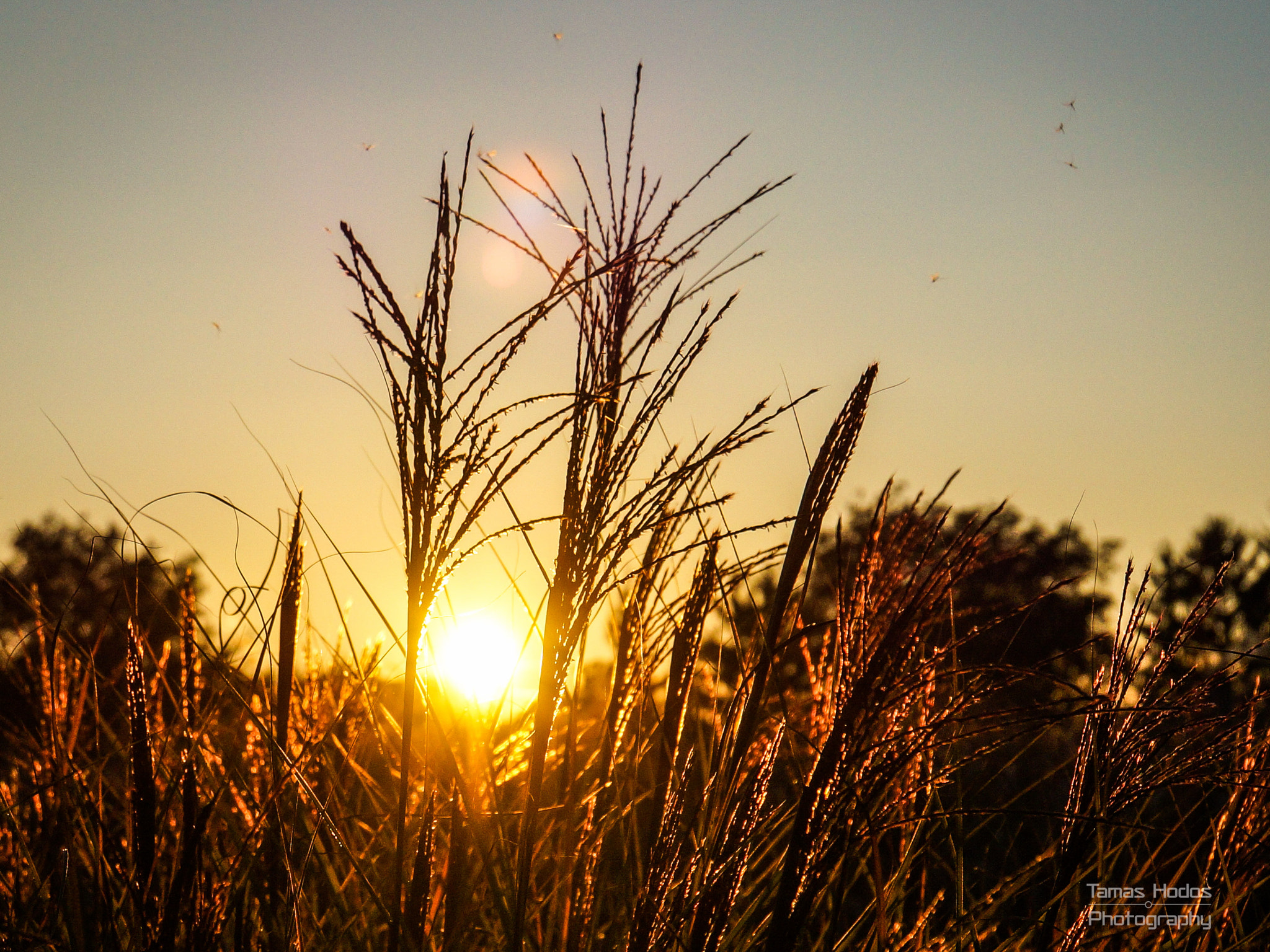 Sony E 18-200mm F3.5-6.3 OSS LE sample photo. Sunset photography