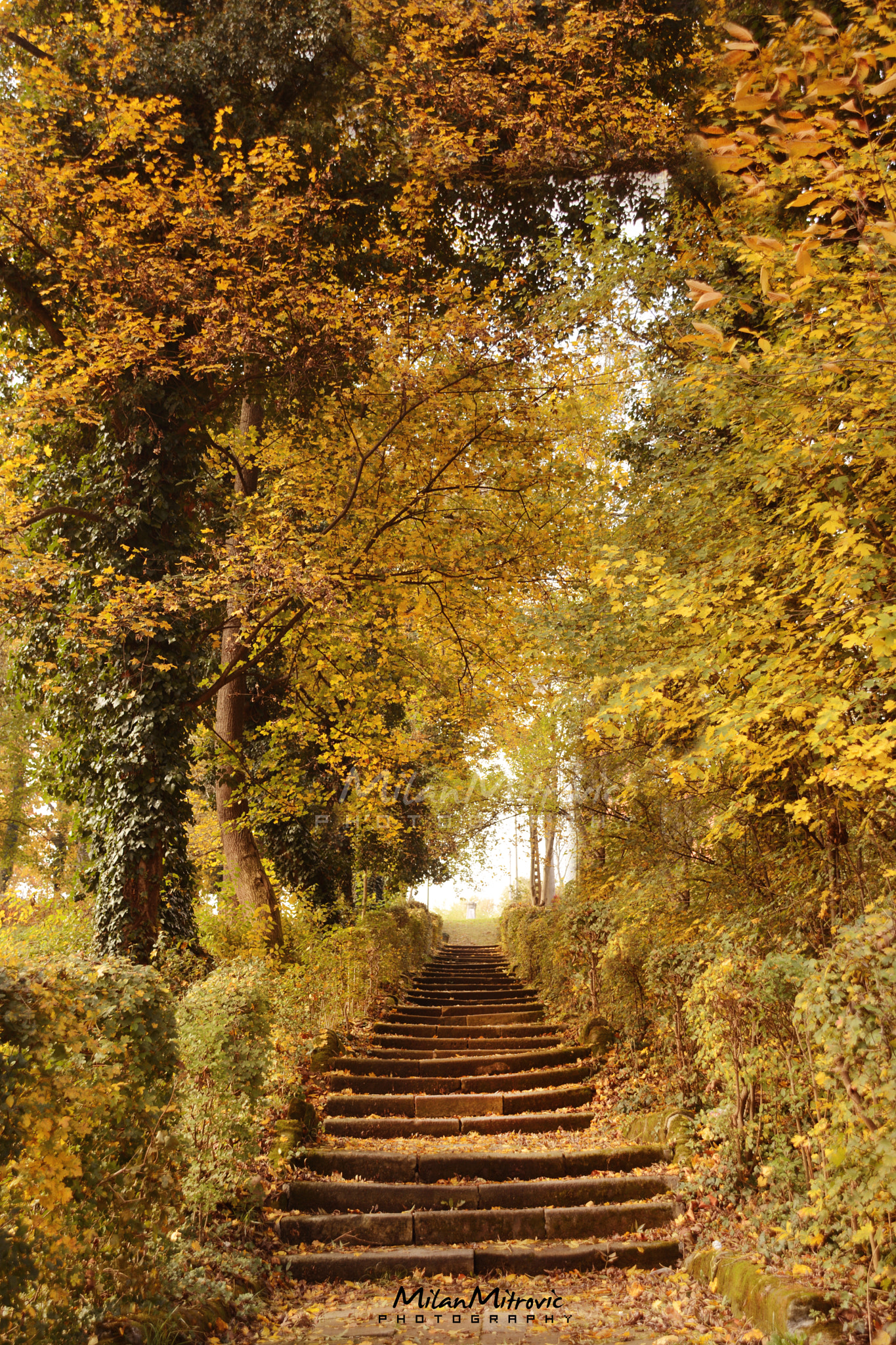 Nikon D7100 sample photo. Stairs photography