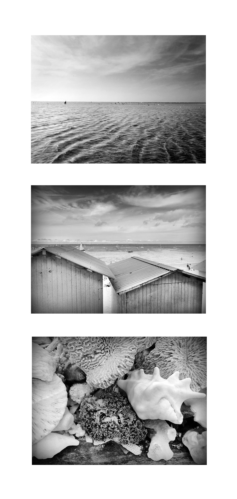 Fujifilm FinePix F660EXR sample photo. Triptych photography