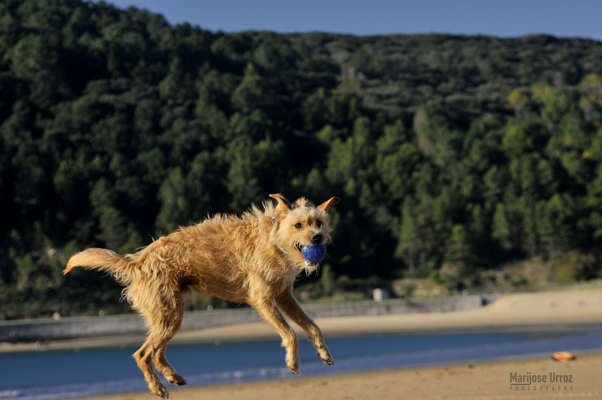 Nikon D300 sample photo. Jumping photography
