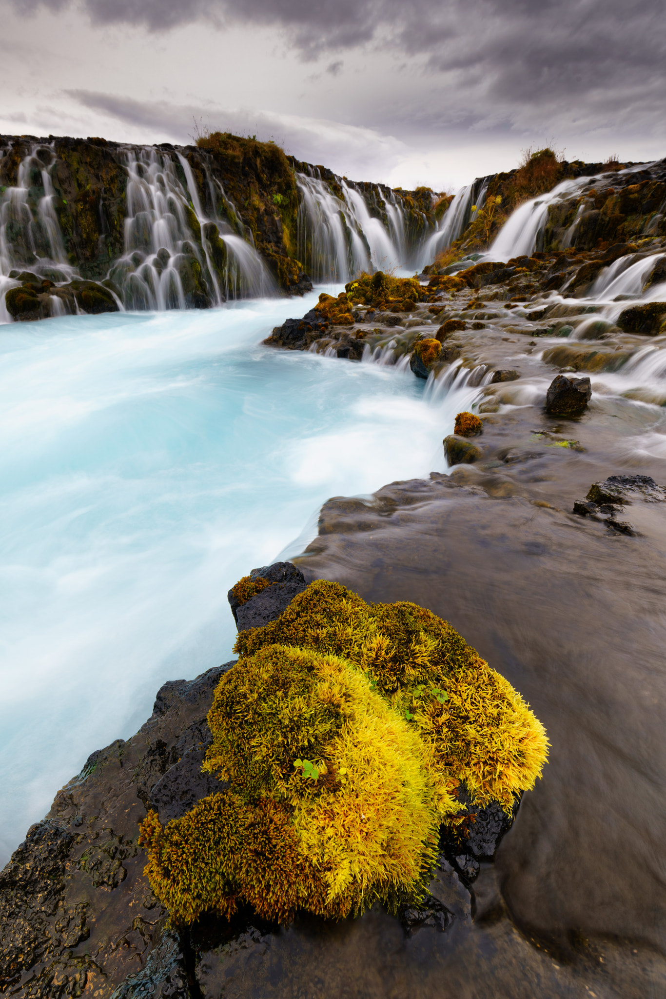 Canon EF 16-35mm F4L IS USM sample photo. Patient moss photography