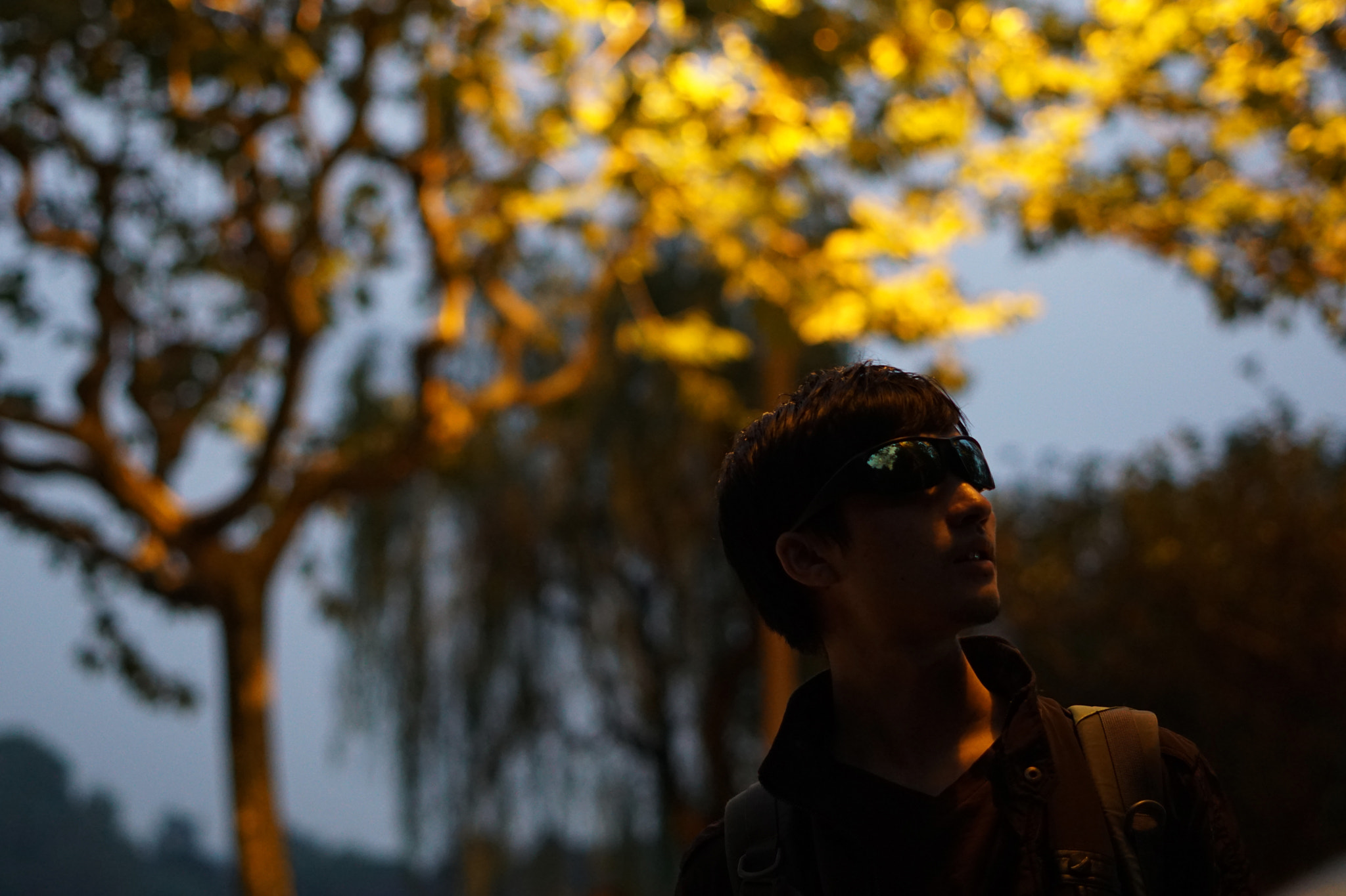 Sony FE 50mm F1.8 sample photo. Winter photography