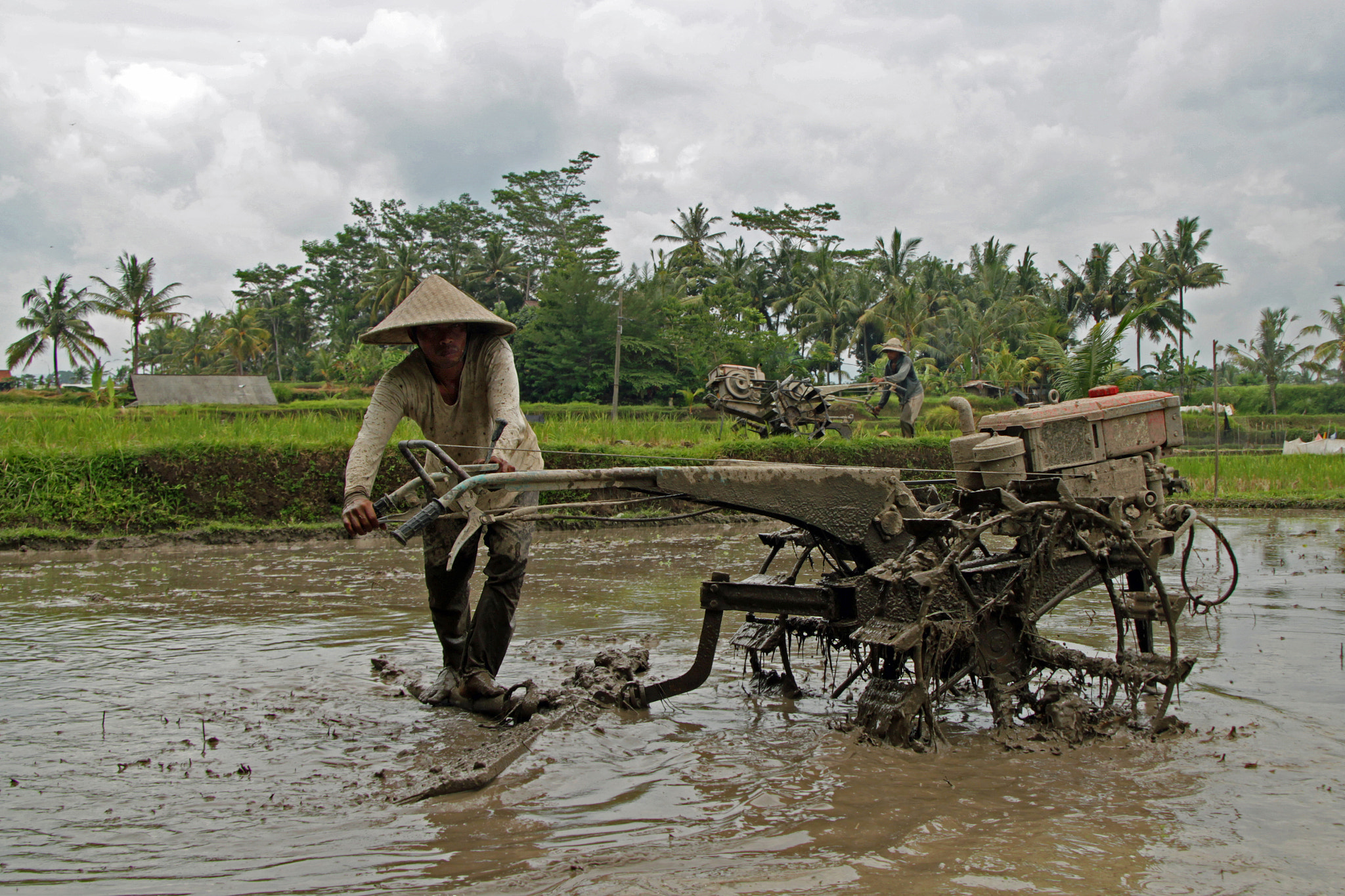 Canon EF-S 17-85mm F4-5.6 IS USM sample photo. Rice tractor photography