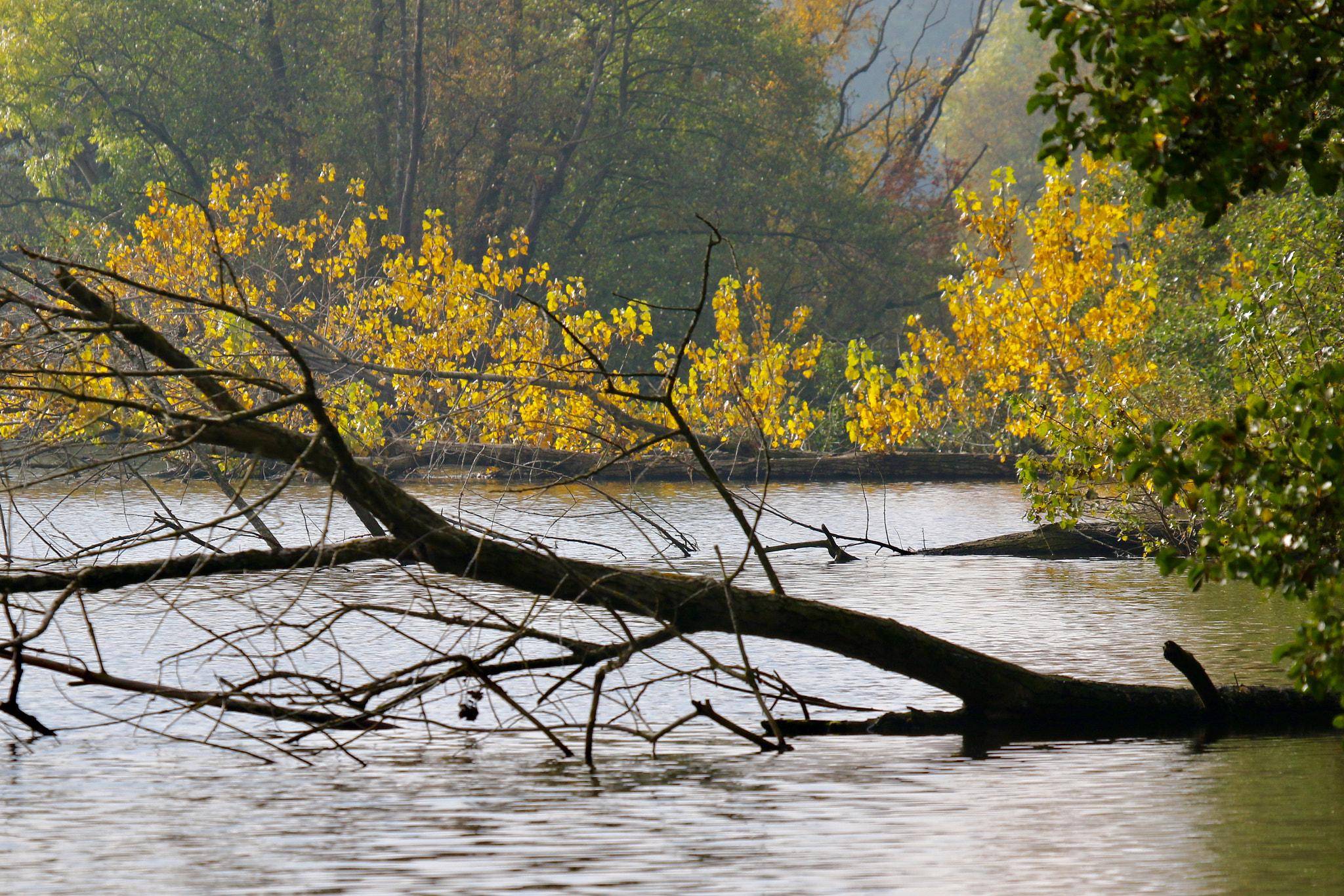 Canon EF 100-400mm F4.5-5.6L IS USM sample photo. Friescheveen photography
